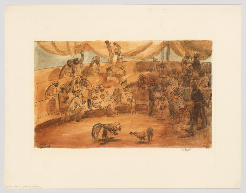 Crowd in a tented arena watching two roosters fight while a man leaps in excitement.