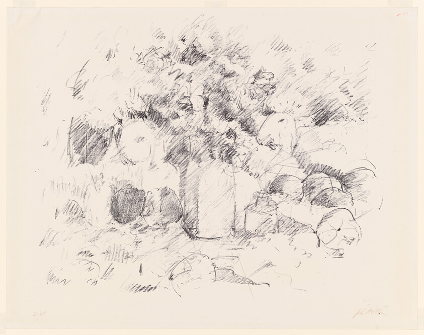 A pencil sketch of a vase of flowers surrounded by scattered fruit on a table.