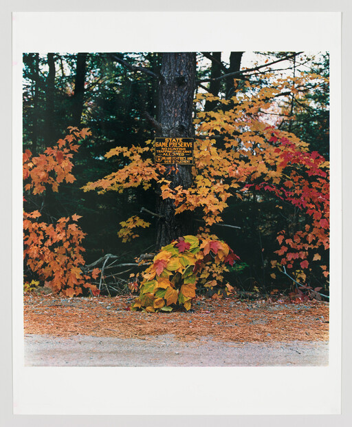 A tree with a yellow "State Game Preserve" sign surrounded by orange and red autumn leaves.