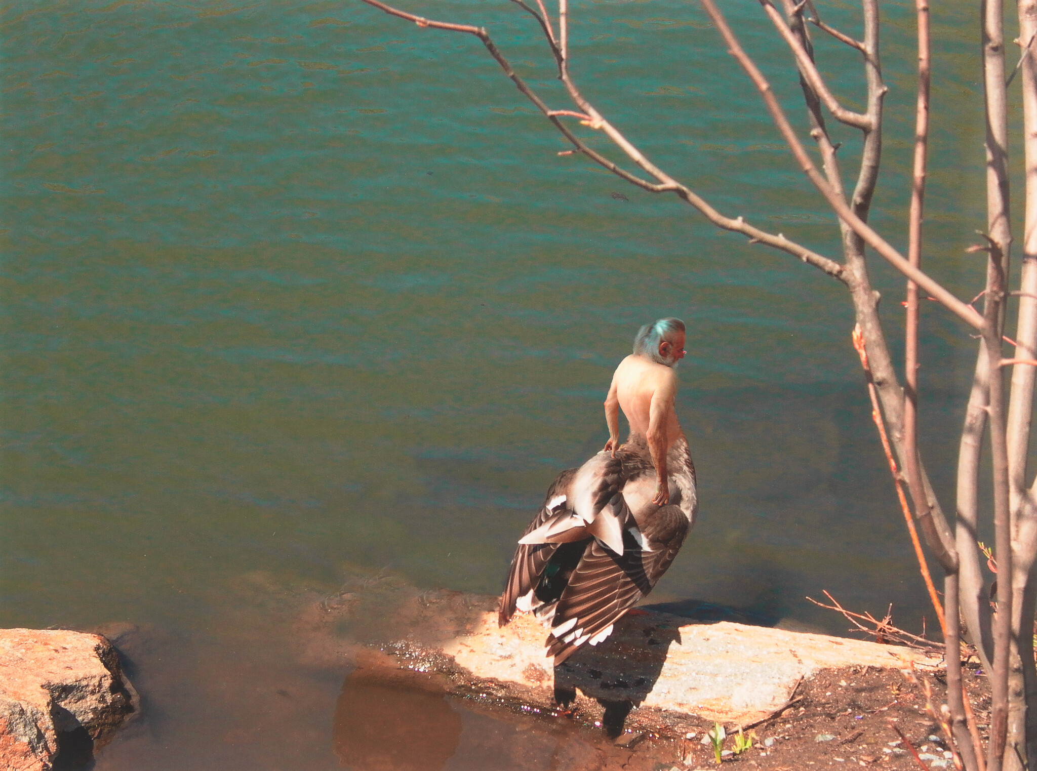 A small human-torso figure with a duck body stands on a rock by green water.