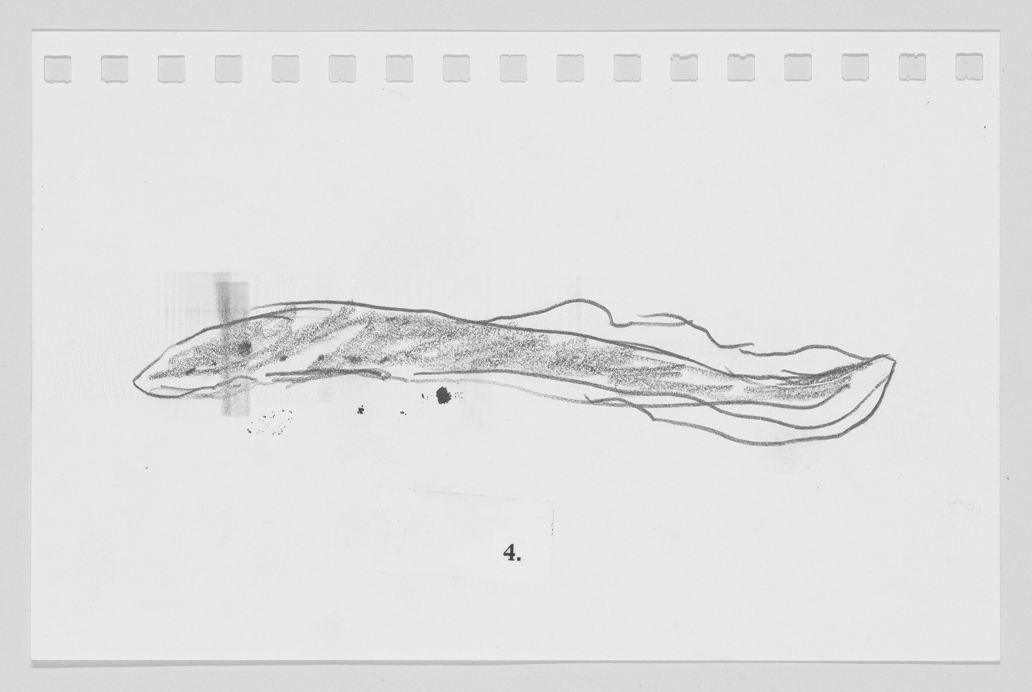 Sketch of a whale on a piece of film strip, with number 4 at the bottom.