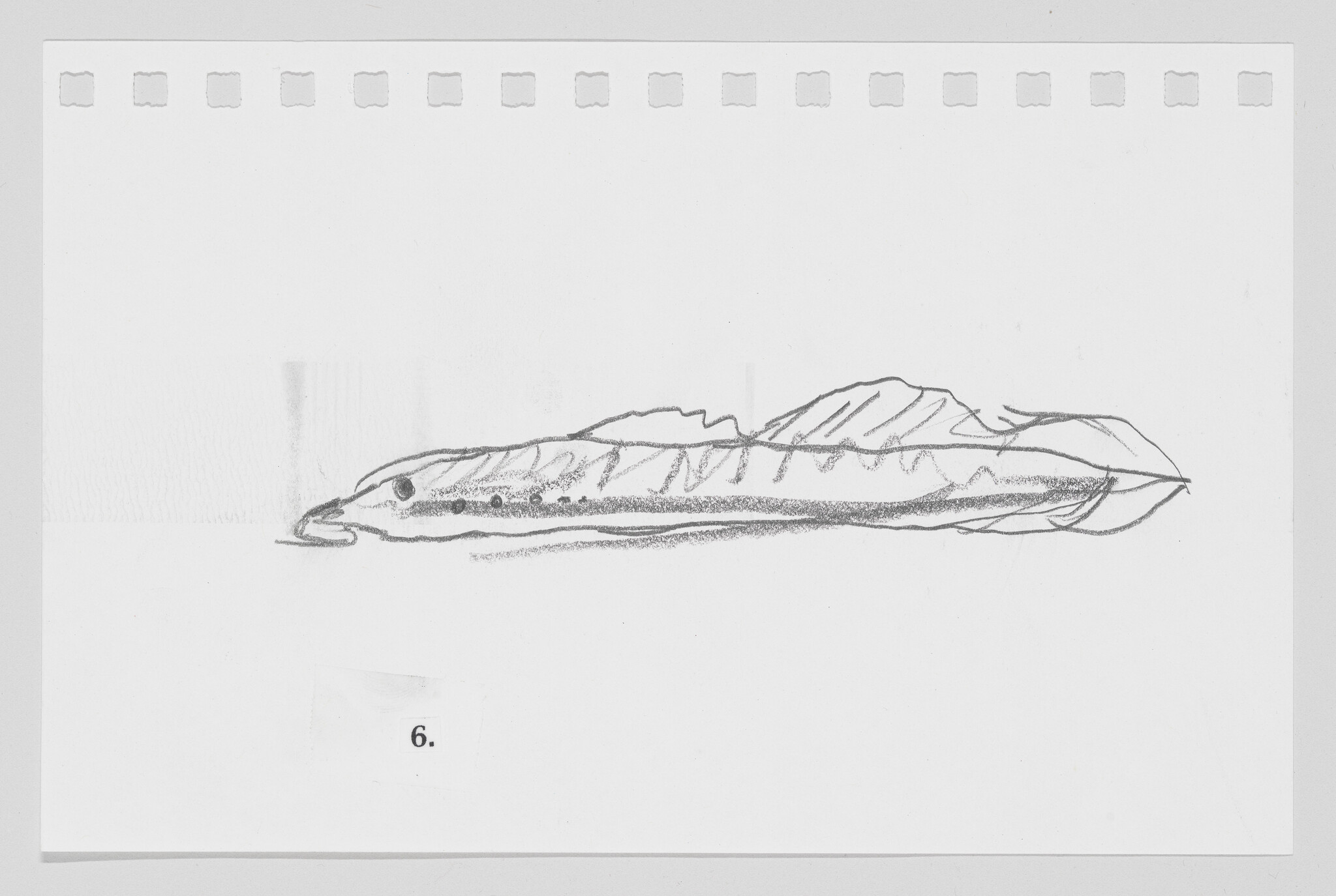 Sketch of a feather with detailed texture on a perforated sheet, labeled with the number 6.