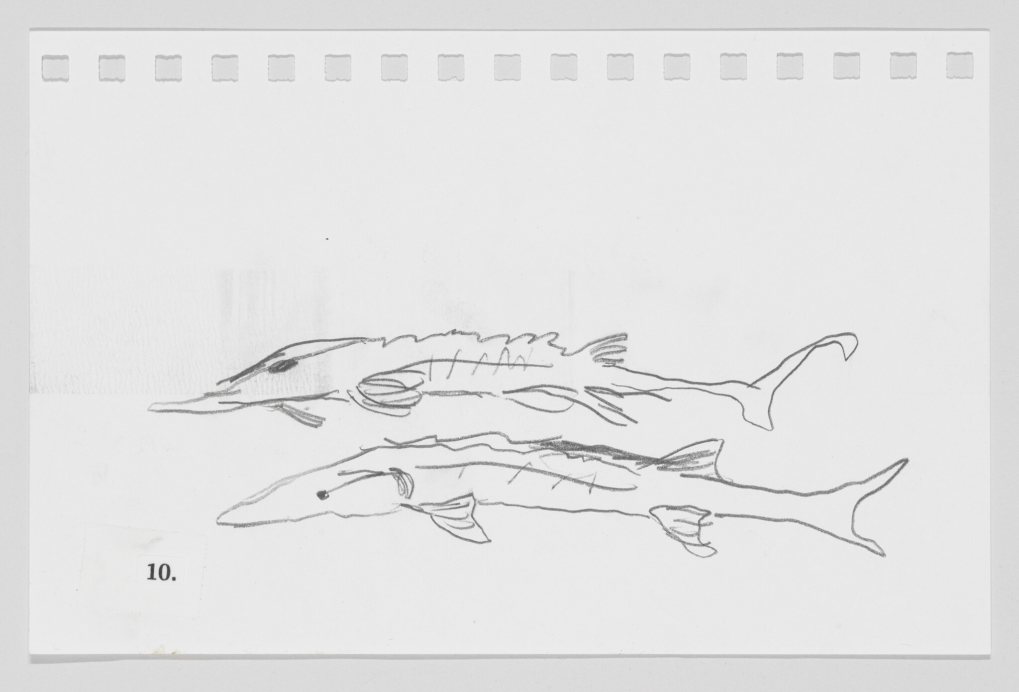 Sketch of three fish on paper with perforated edges, numbered 10 at the bottom left.