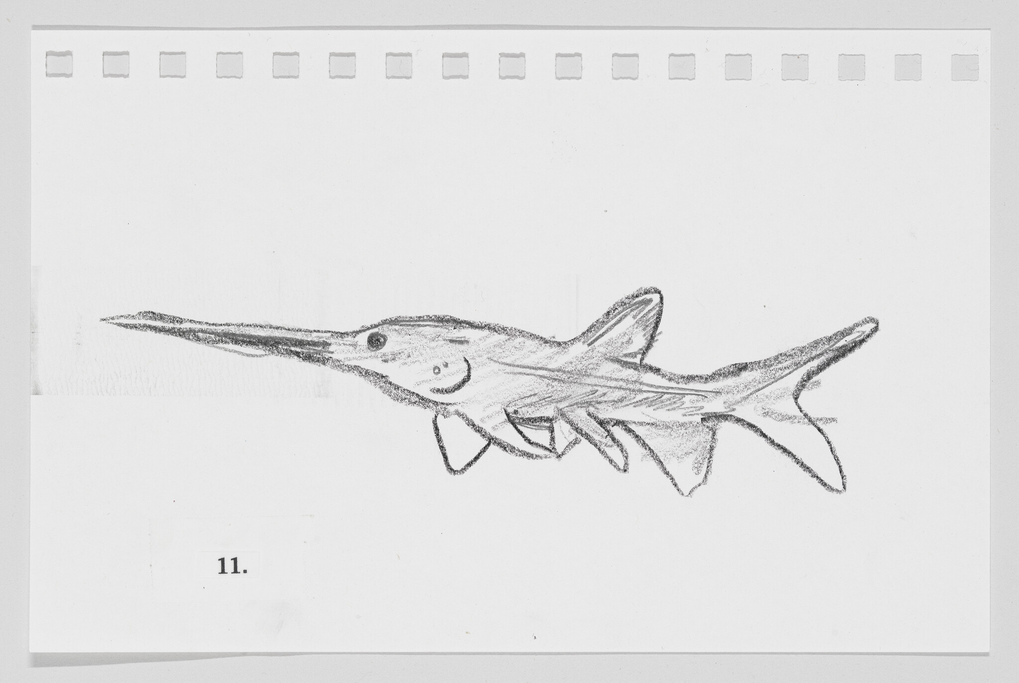 Pencil sketch of a smiling swordfish on a piece of paper with perforated edges, labeled with the number 11.