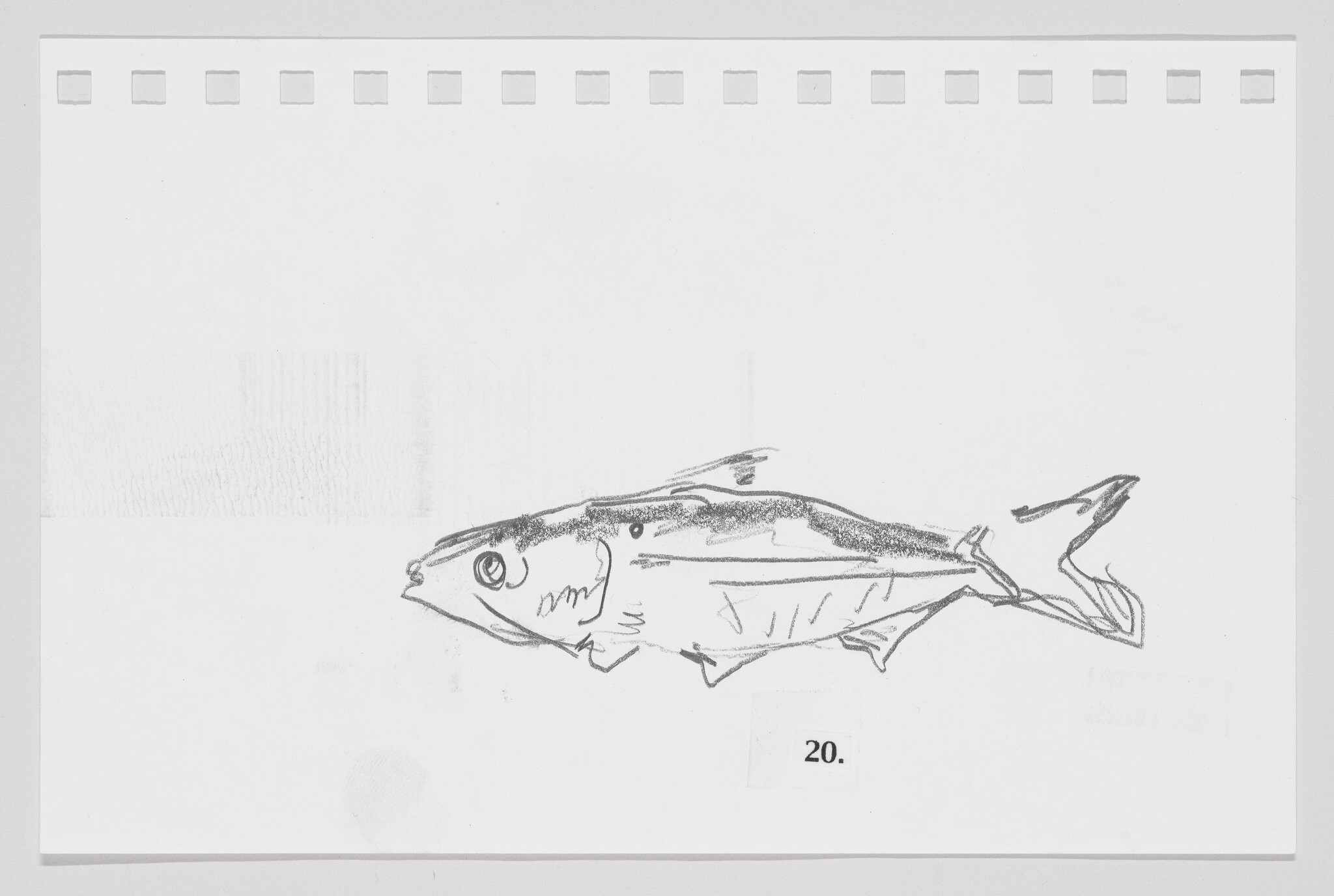 Sketch of a fish on a piece of paper with perforated edges, labeled with the number 20.