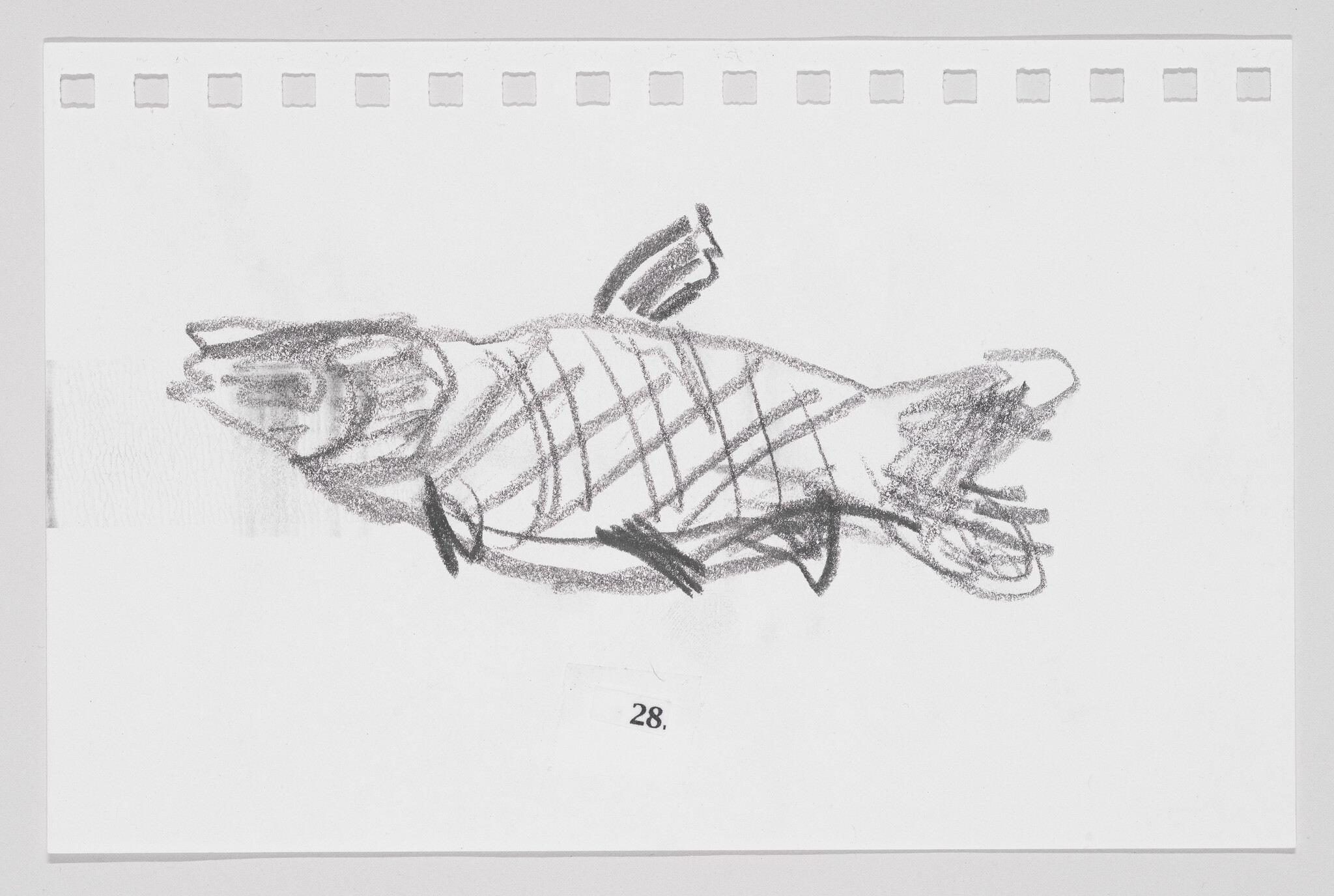 Sketch of a fish with crosshatching details on a piece of paper, labeled with the number 28.