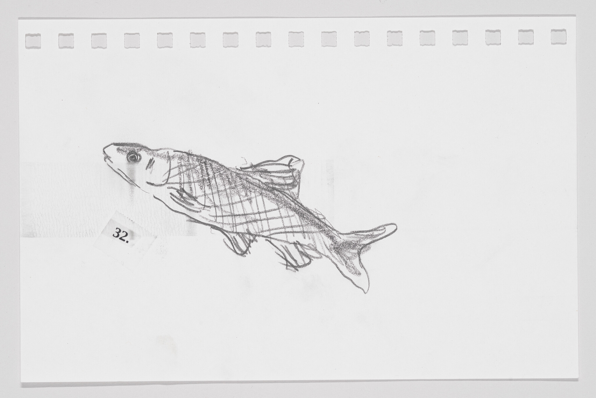 Sketch of a fish on a piece of paper with perforated edges, number "32." visible.
