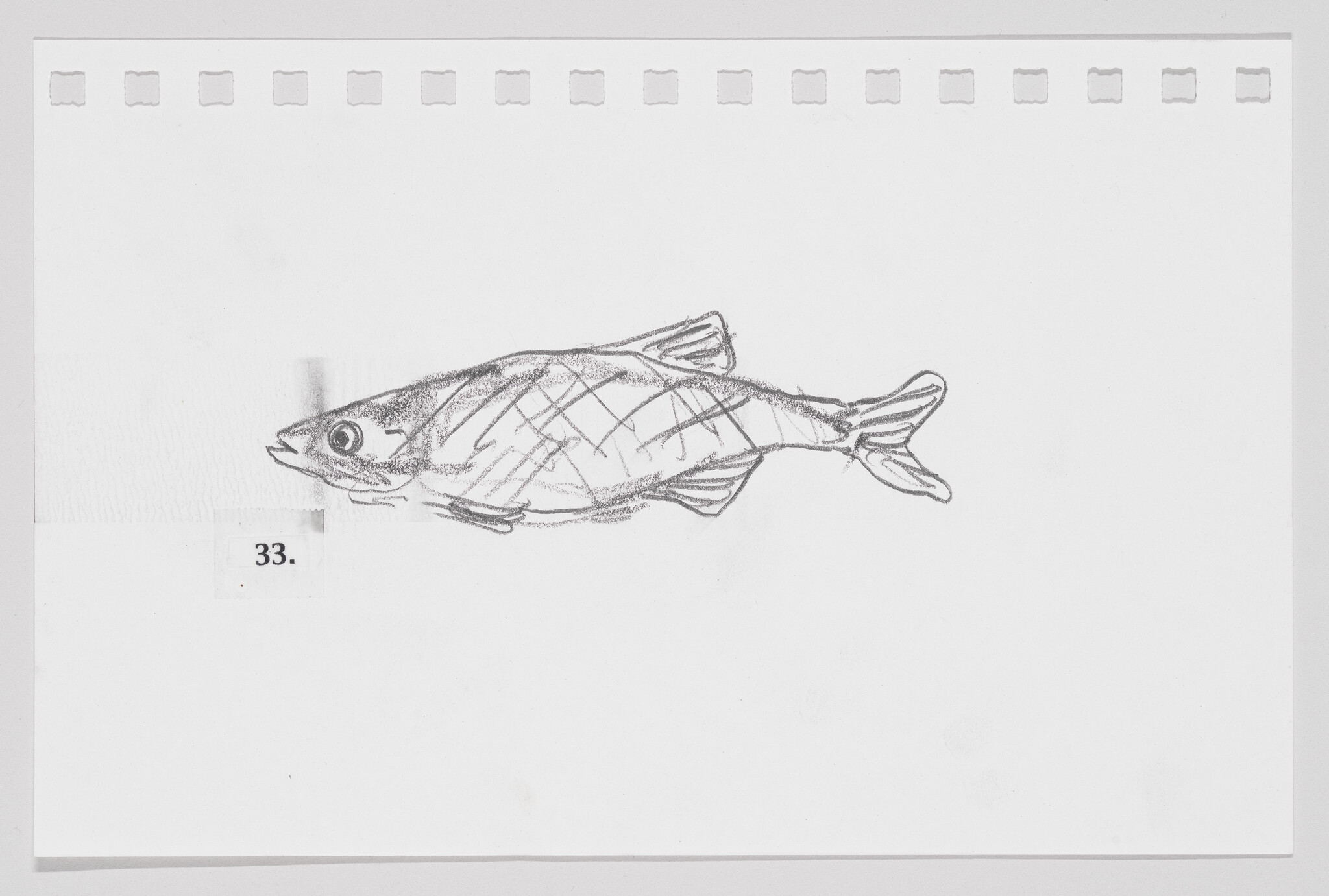 Sketch of a fish on a white background with number 33. below it.