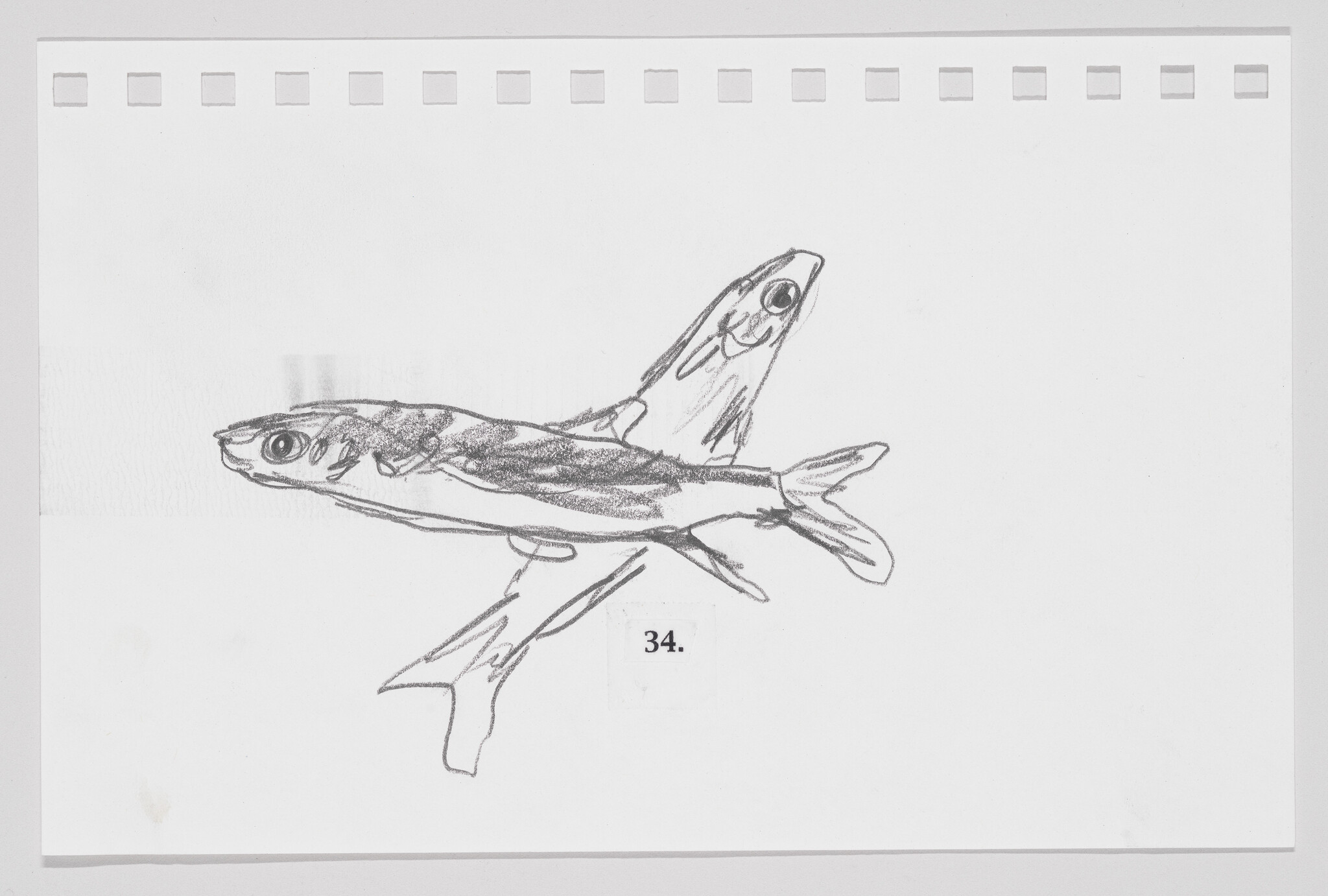 Sketch of a fish superimposed on an airplane on a white background, numbered 34.