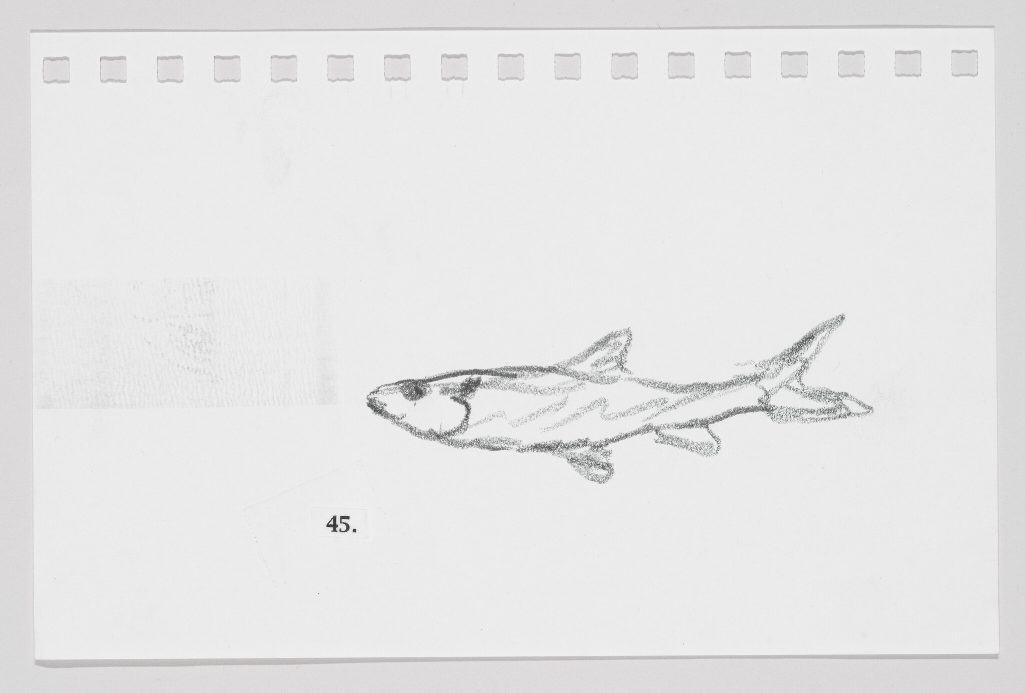 Pencil sketch of a fish on a piece of paper with perforated edges, labeled with the number 45.