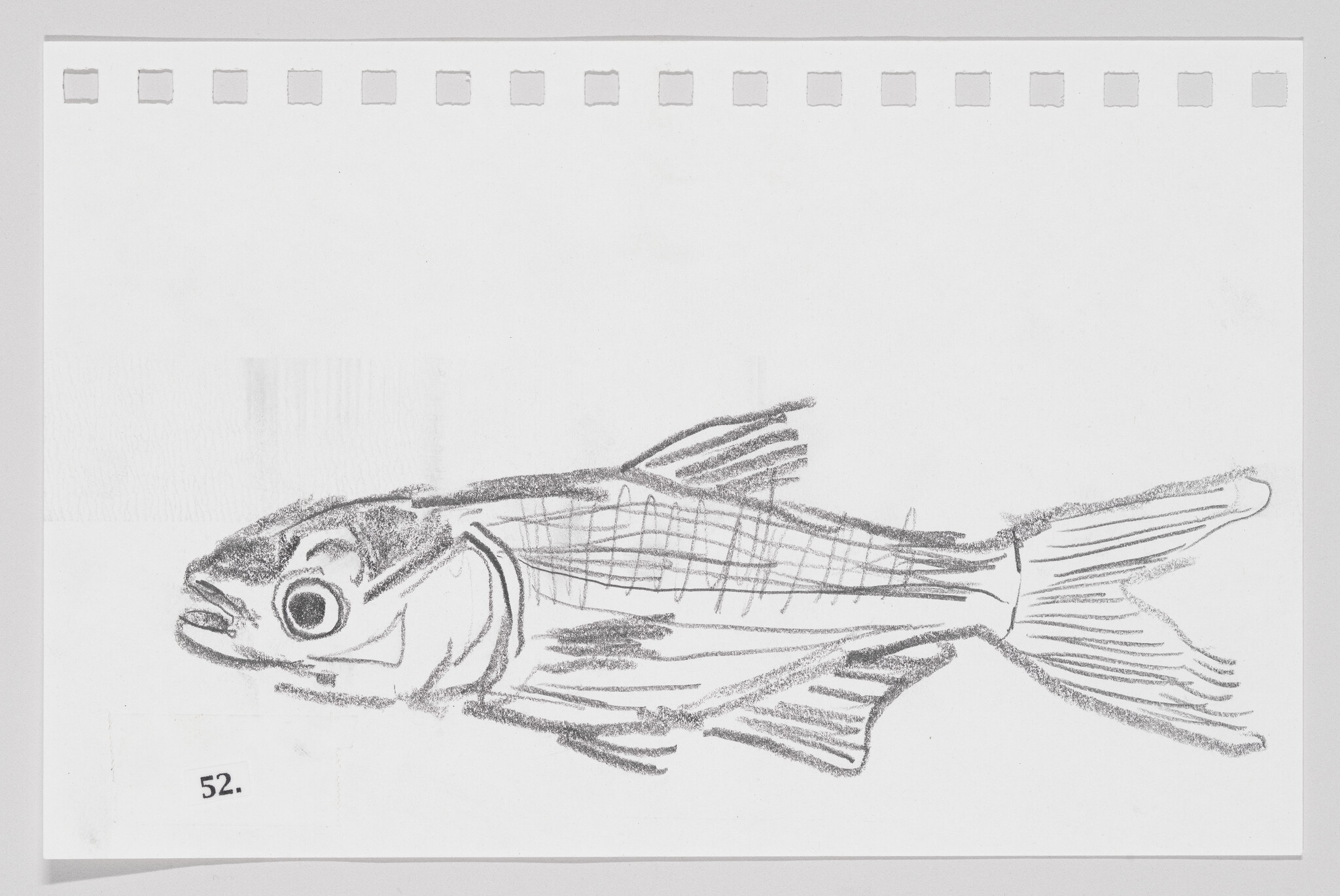 Sketch of a fish on a piece of paper with perforated edges, labeled with the number 52.