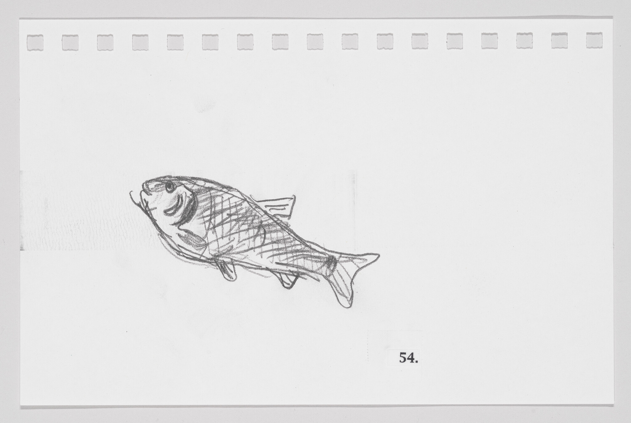 Sketch of a fish on a piece of paper with the number 54.