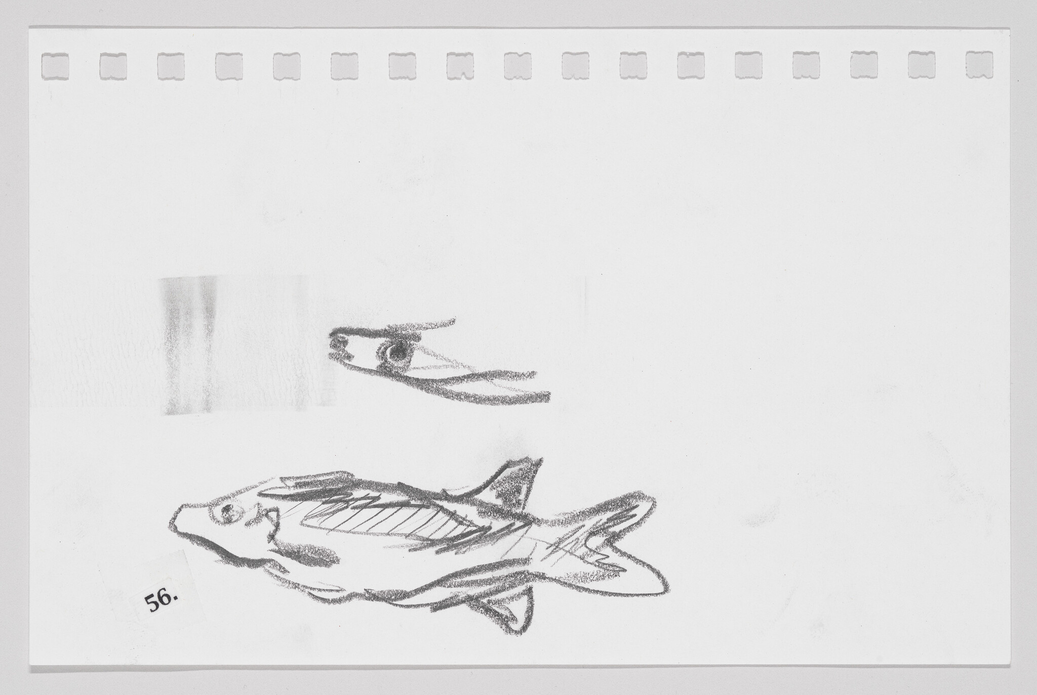 Sketch of two fish on paper, one detailed and one more abstract, with visible binder holes at the top edge.