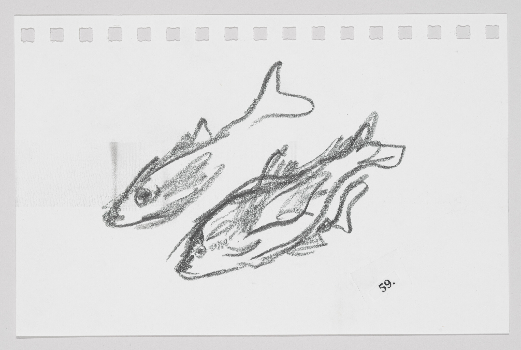 Sketch of two fish on a piece of paper with perforated edges, numbered 59.