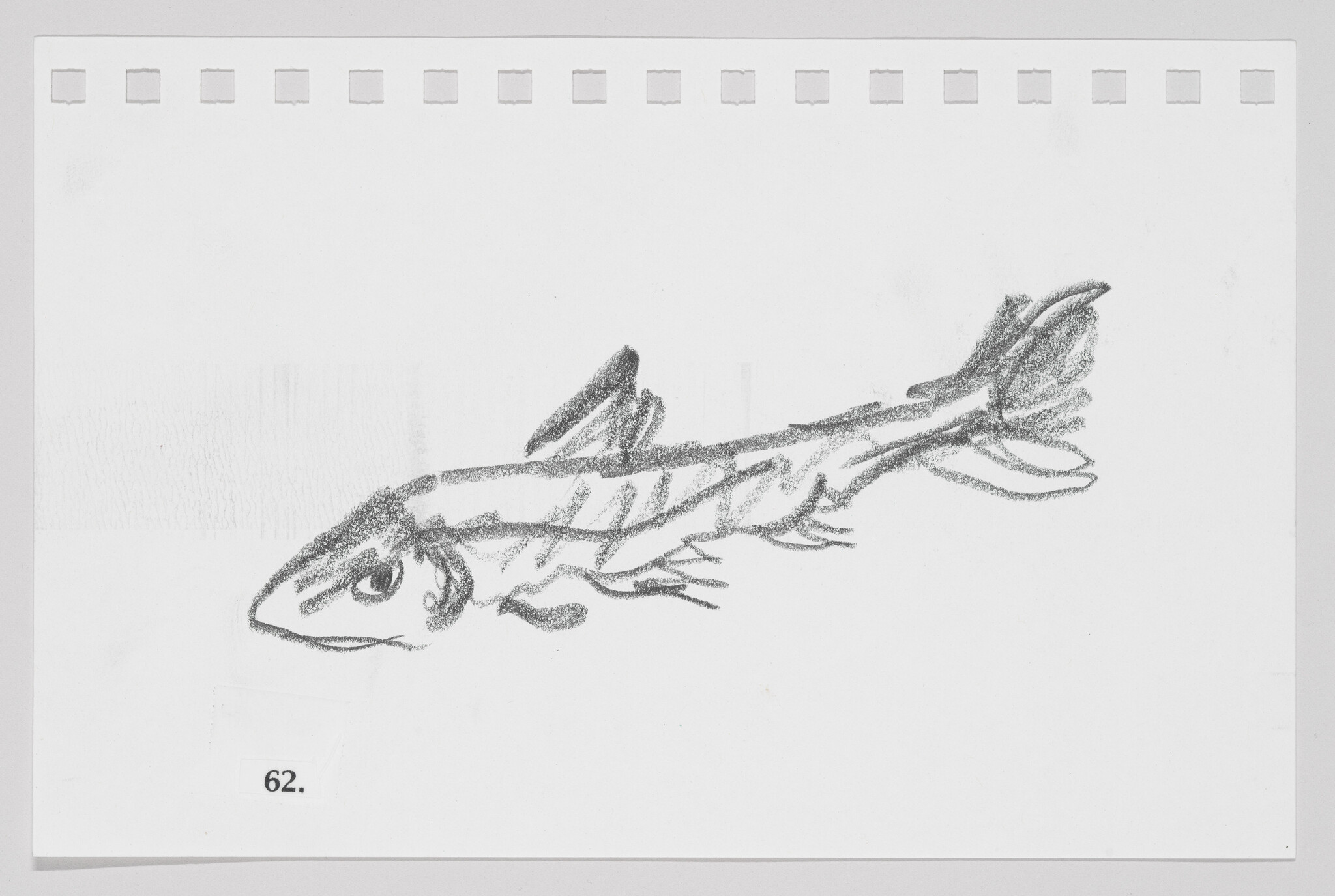 Sketch of a fish on a piece of paper with perforated edges, labeled with the number 62.