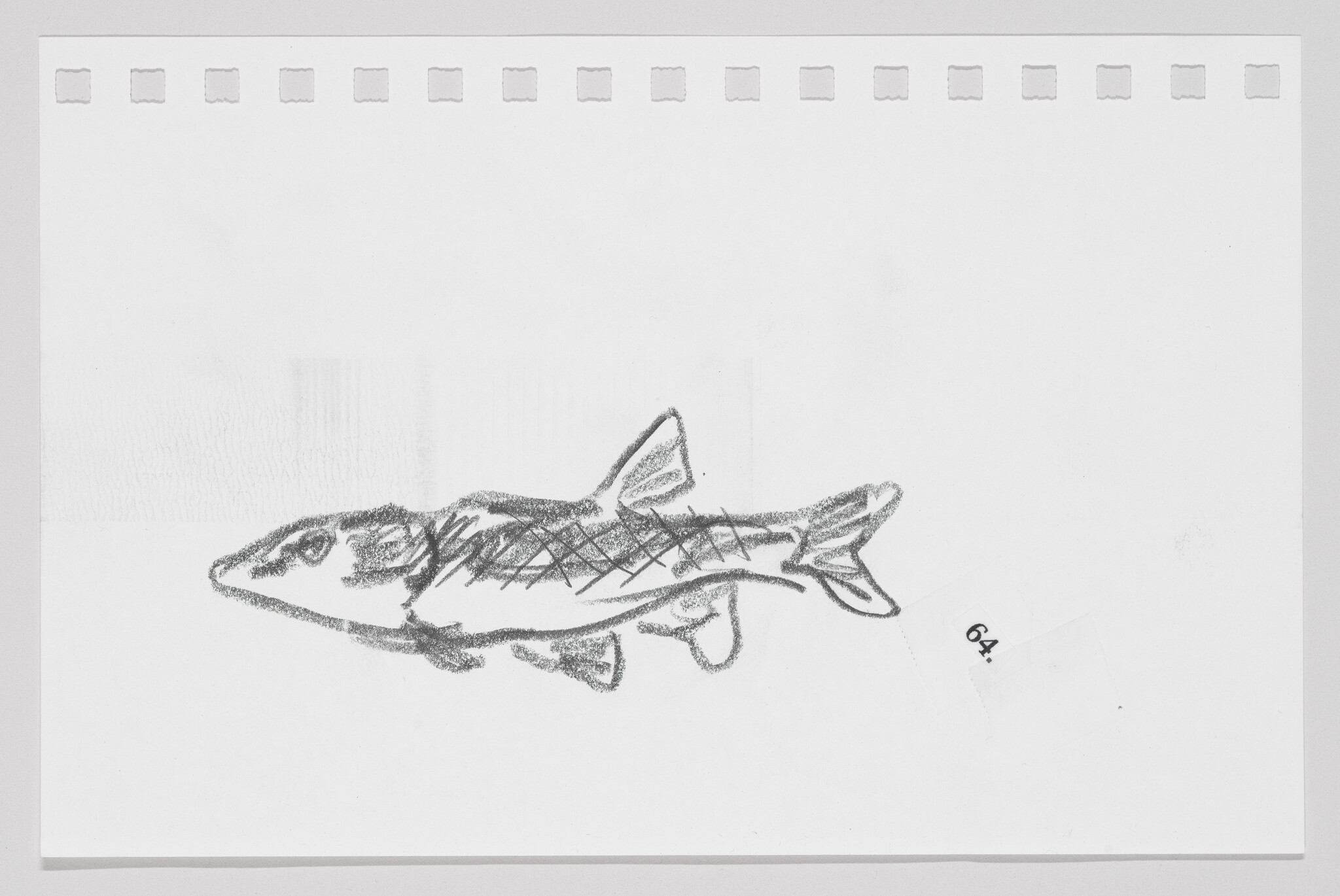 Sketch of a fish on a piece of paper with perforated edges and the number 64 in the corner.