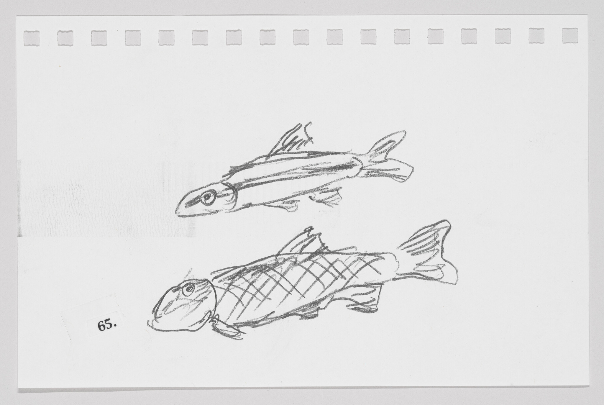 Sketch of two fish on a piece of paper with perforated edges, one above the other, with the number 65 in the corner.