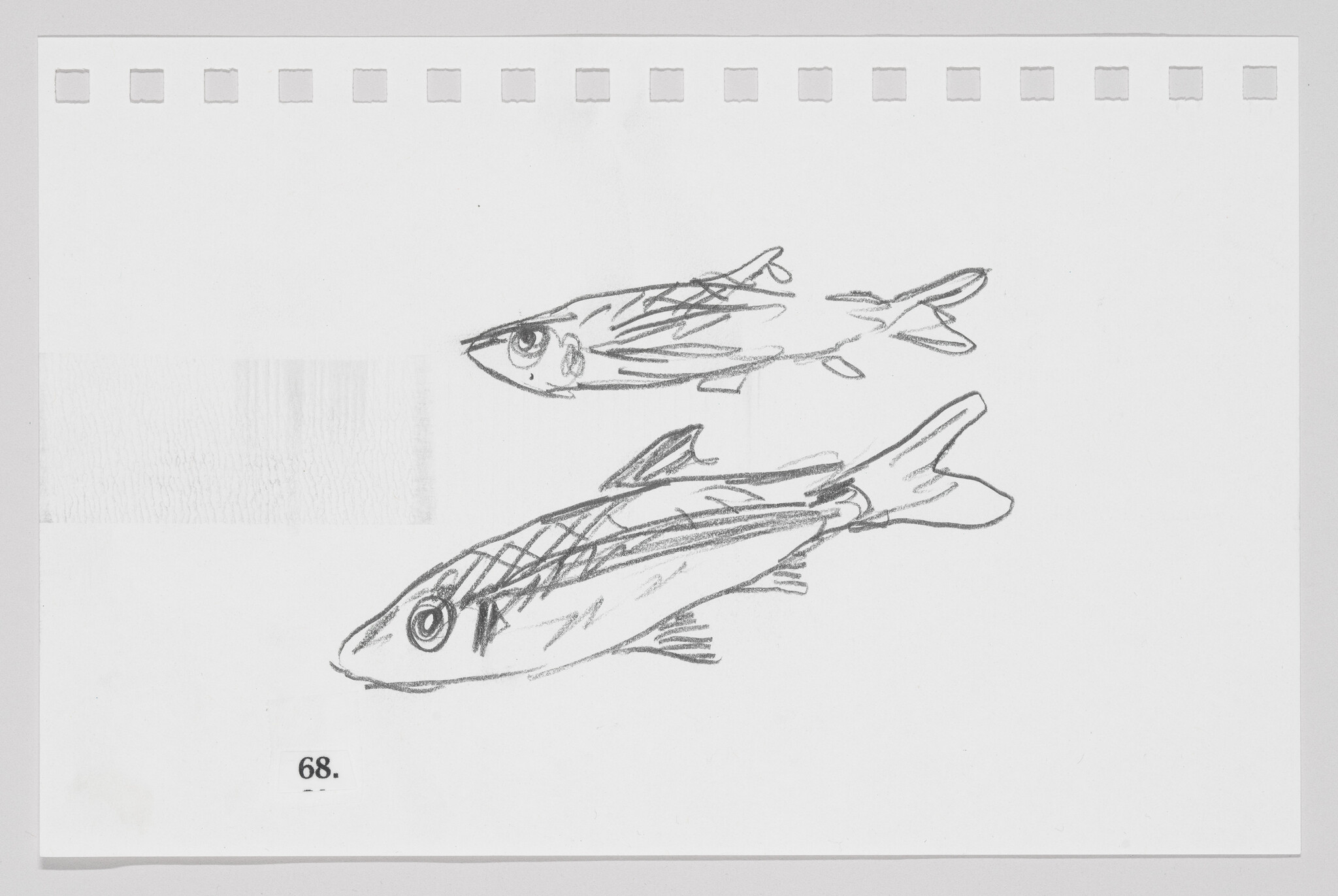 Sketch of two fish on a piece of paper, numbered 68.