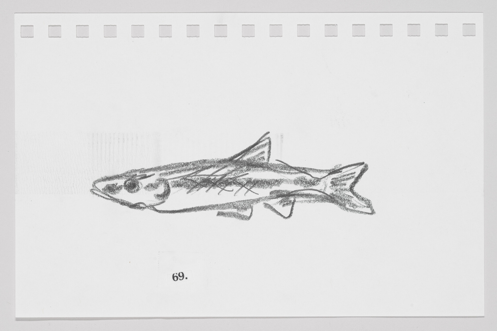 Pencil sketch of a fish on a piece of paper with perforated edges, numbered 69.