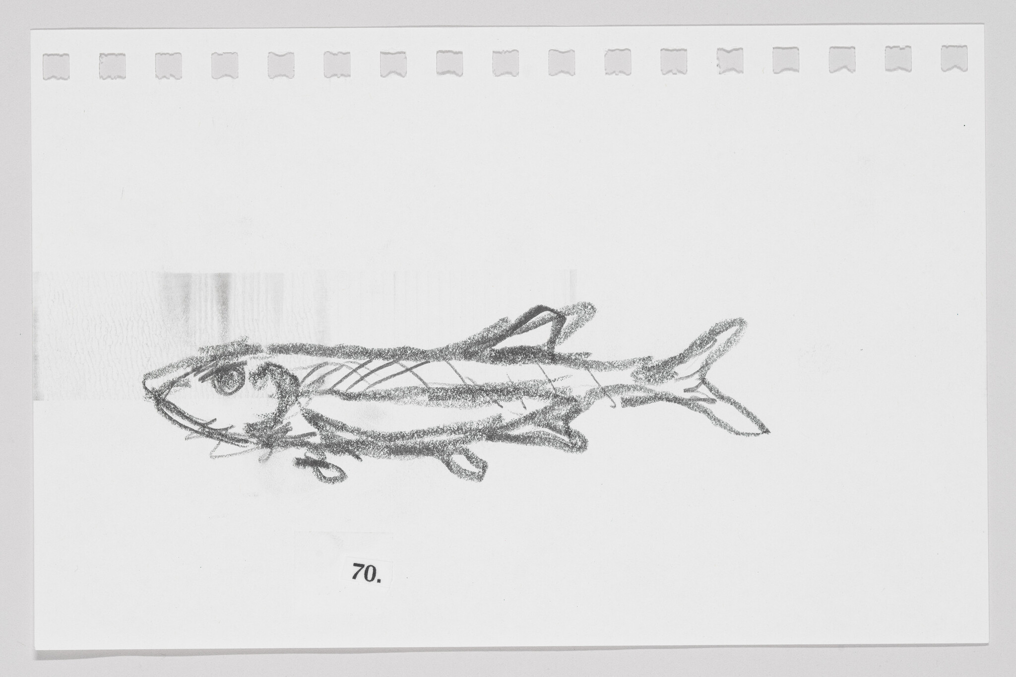 Sketch of a fish on a piece of paper with perforated edges, numbered 70.