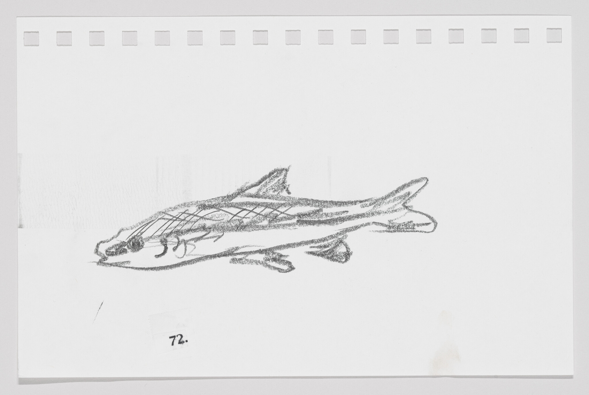 Sketch of a fish on a piece of paper with perforated edges, numbered 72.