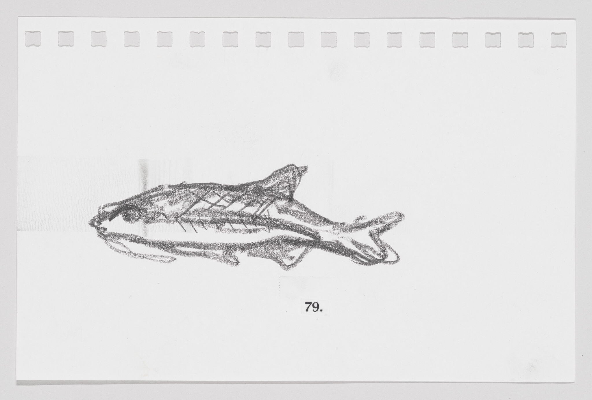 Sketch of a fish on a piece of paper with perforated edges, numbered 79.