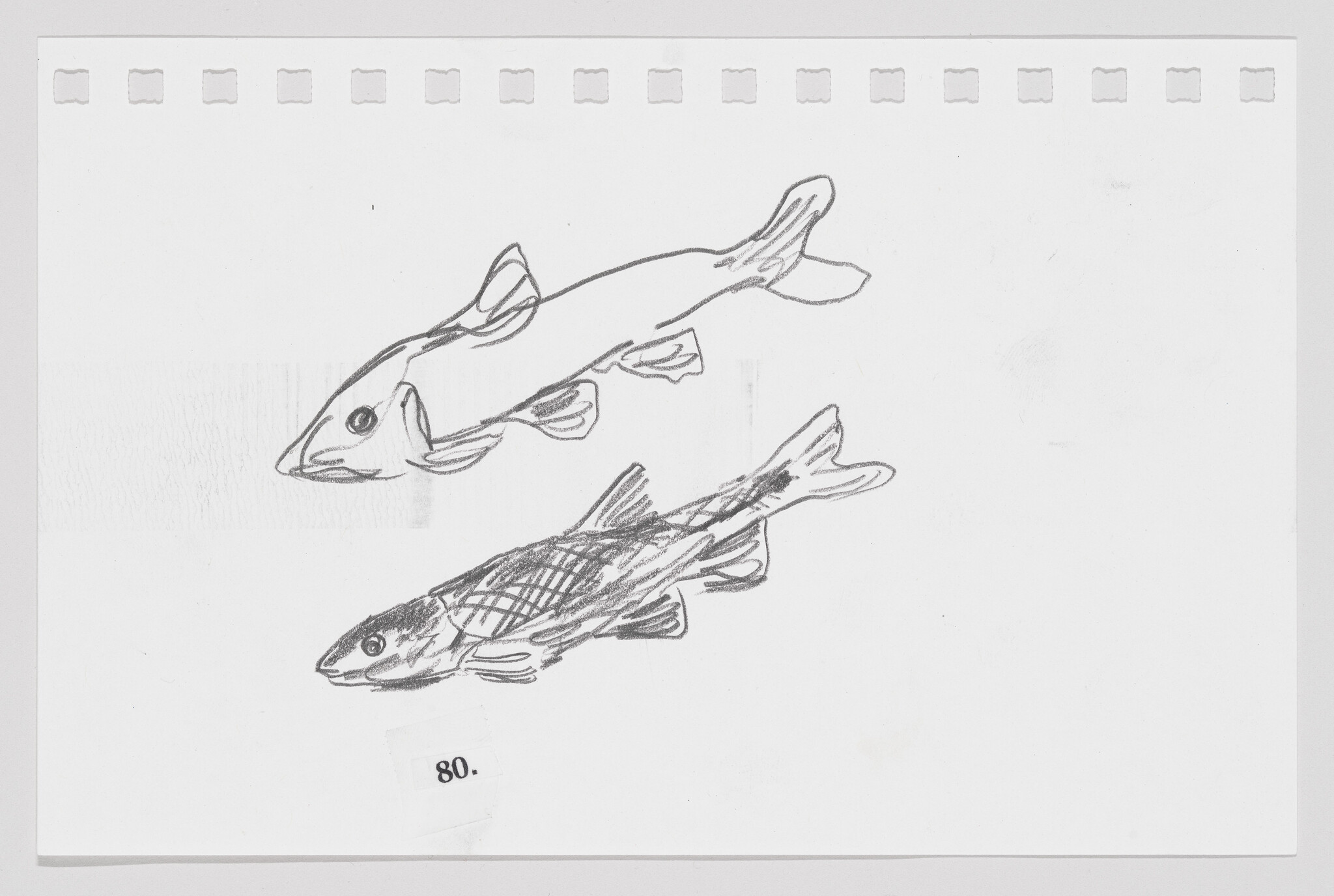 Sketch of two fish on a piece of paper with perforated edges, one detailed and one outlined.