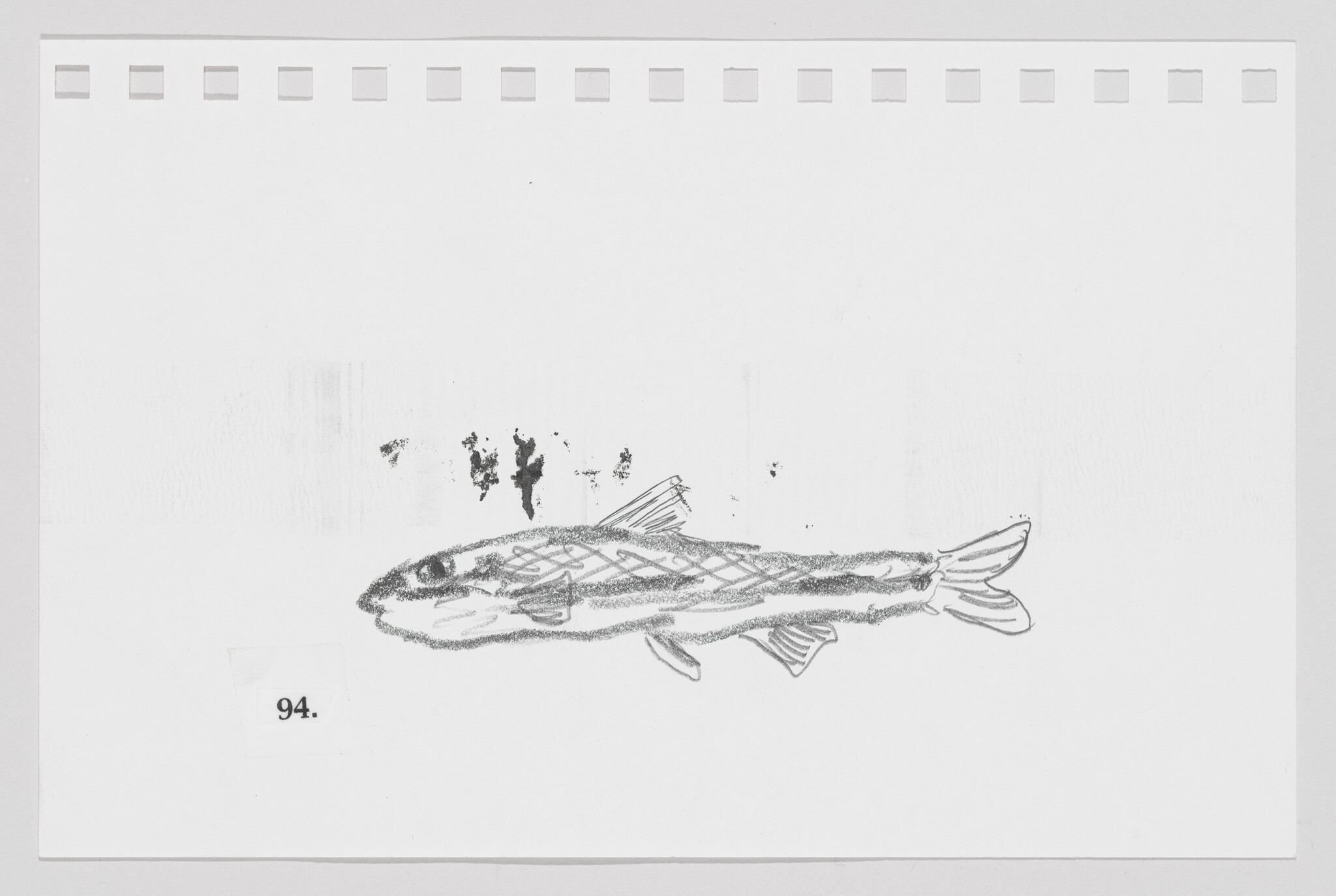 Sketch of a fish on a piece of paper with perforated edges, labeled with the number 94.