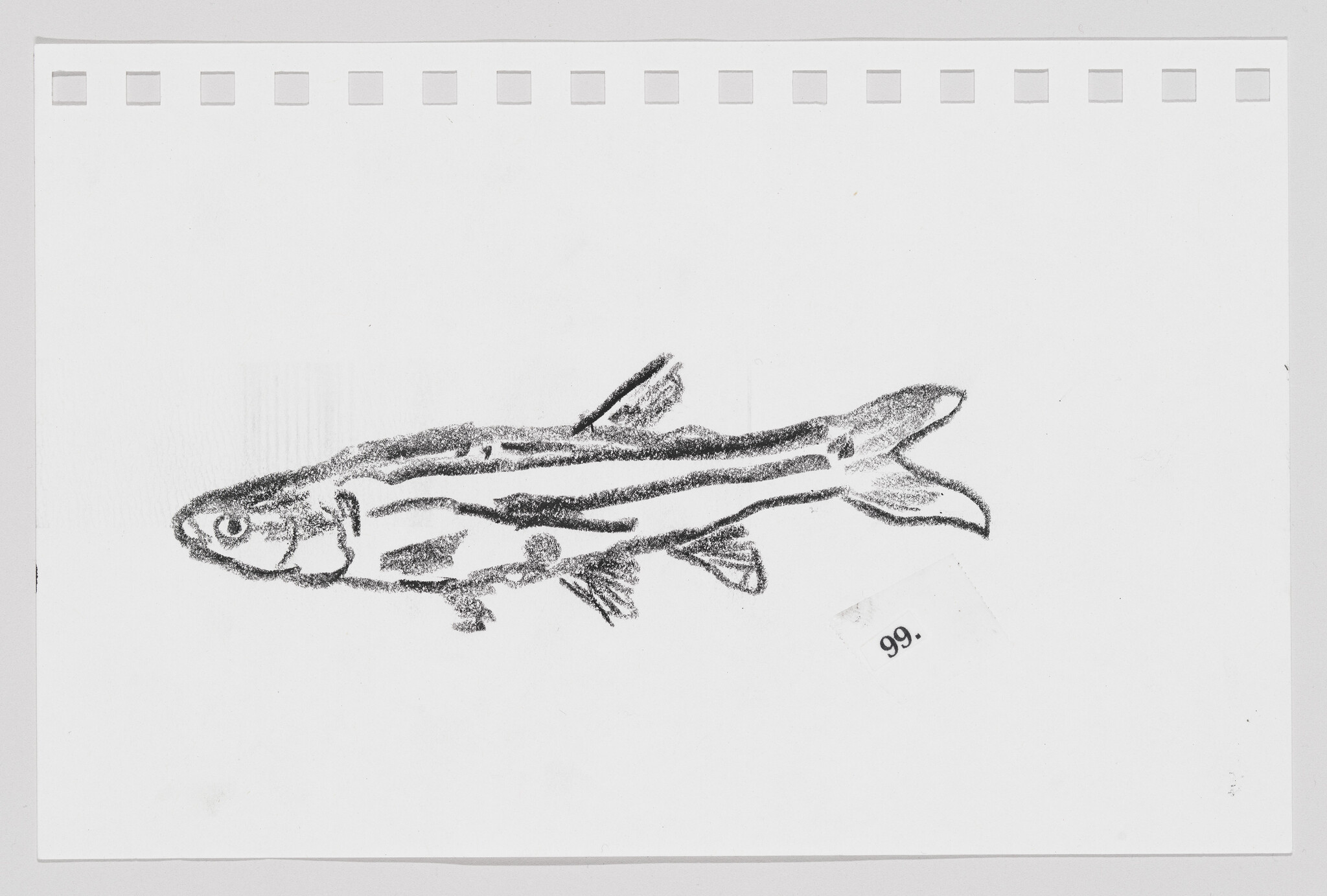 Sketch of a fish on a white background with perforated edges and a number "99." on the bottom right.
