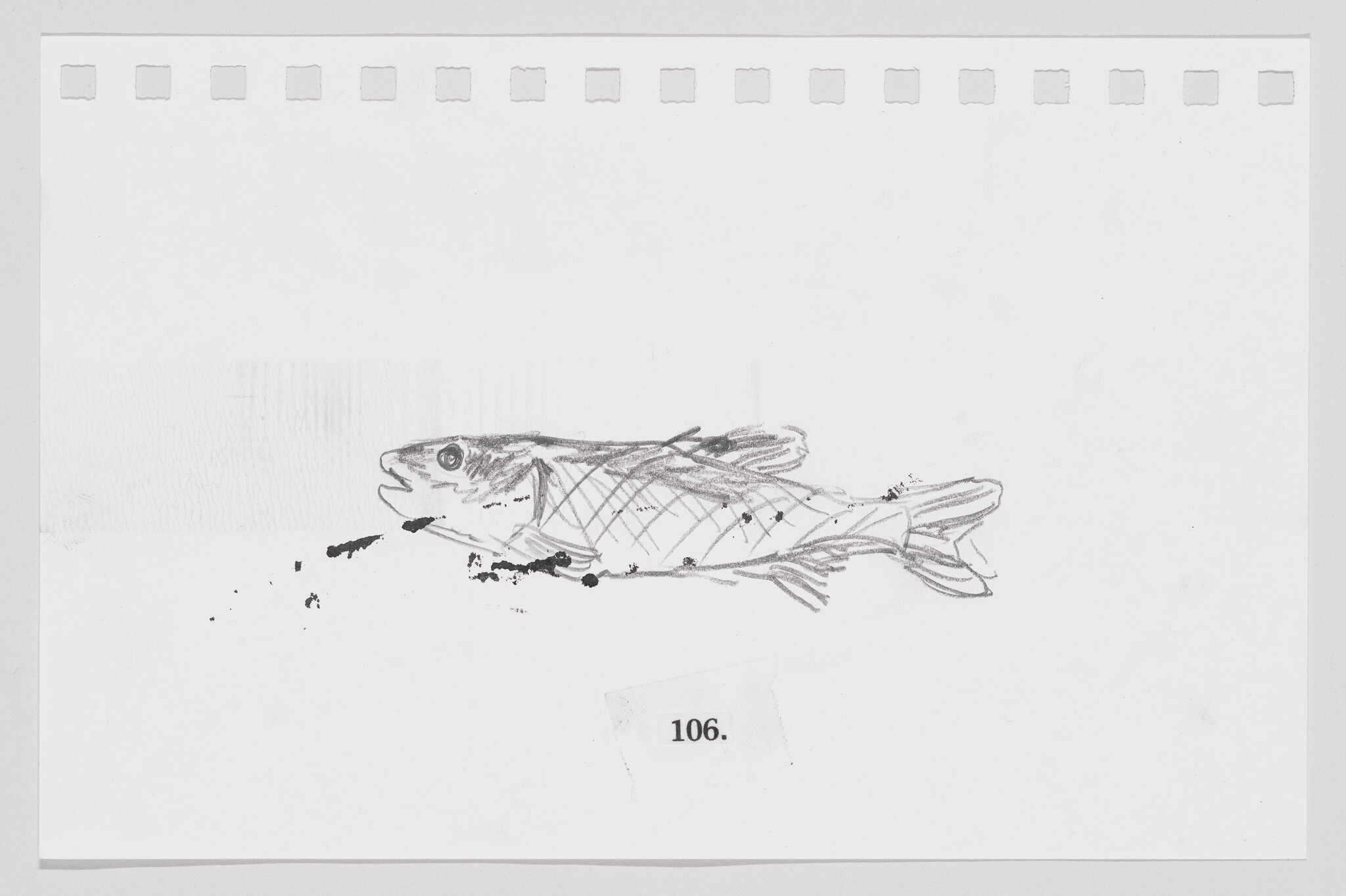 Sketch of a fish on a piece of paper with perforated edges, labeled with the number 106.