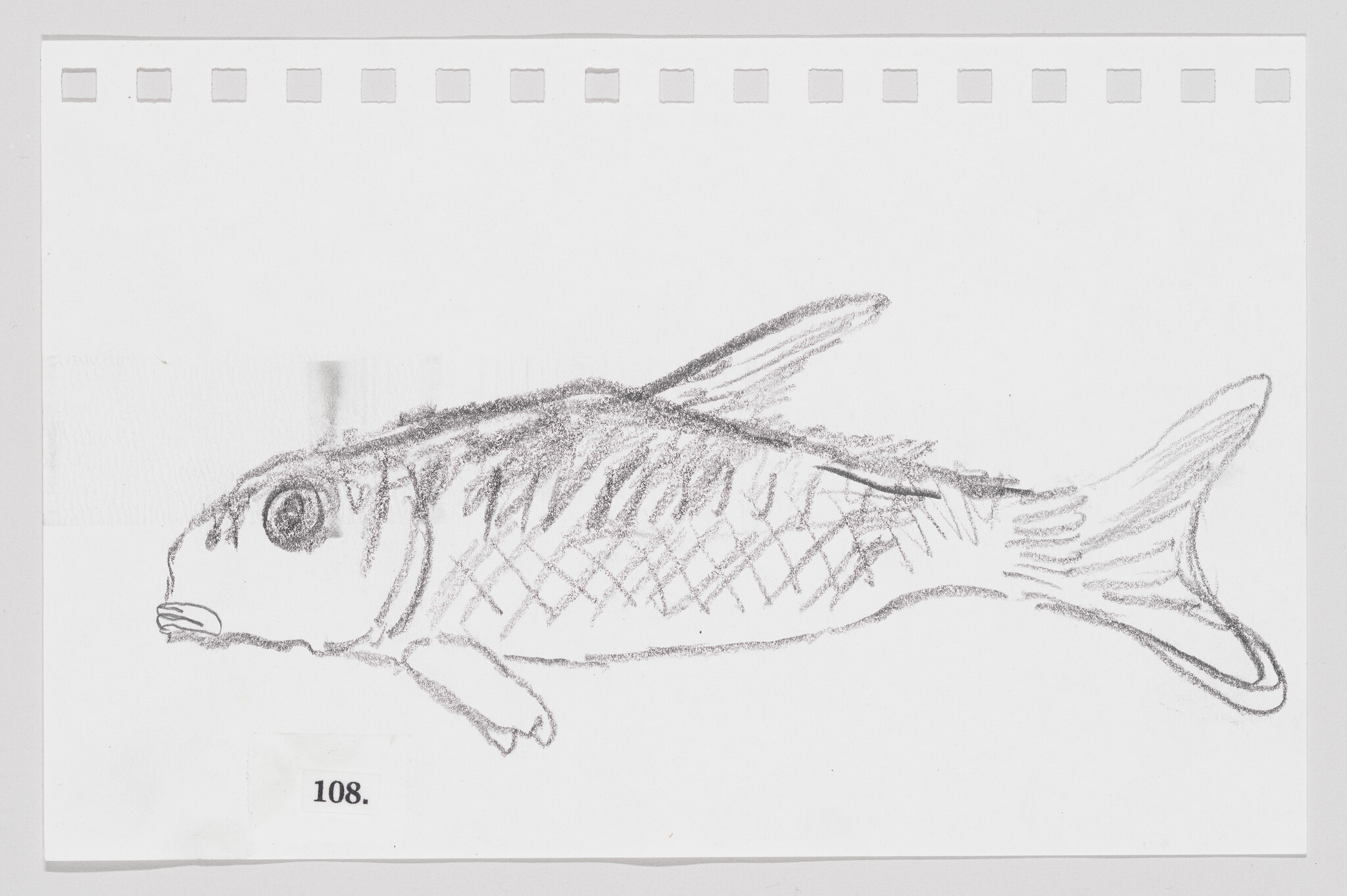 Sketch of a fish on a piece of paper with perforated edges, numbered 108.