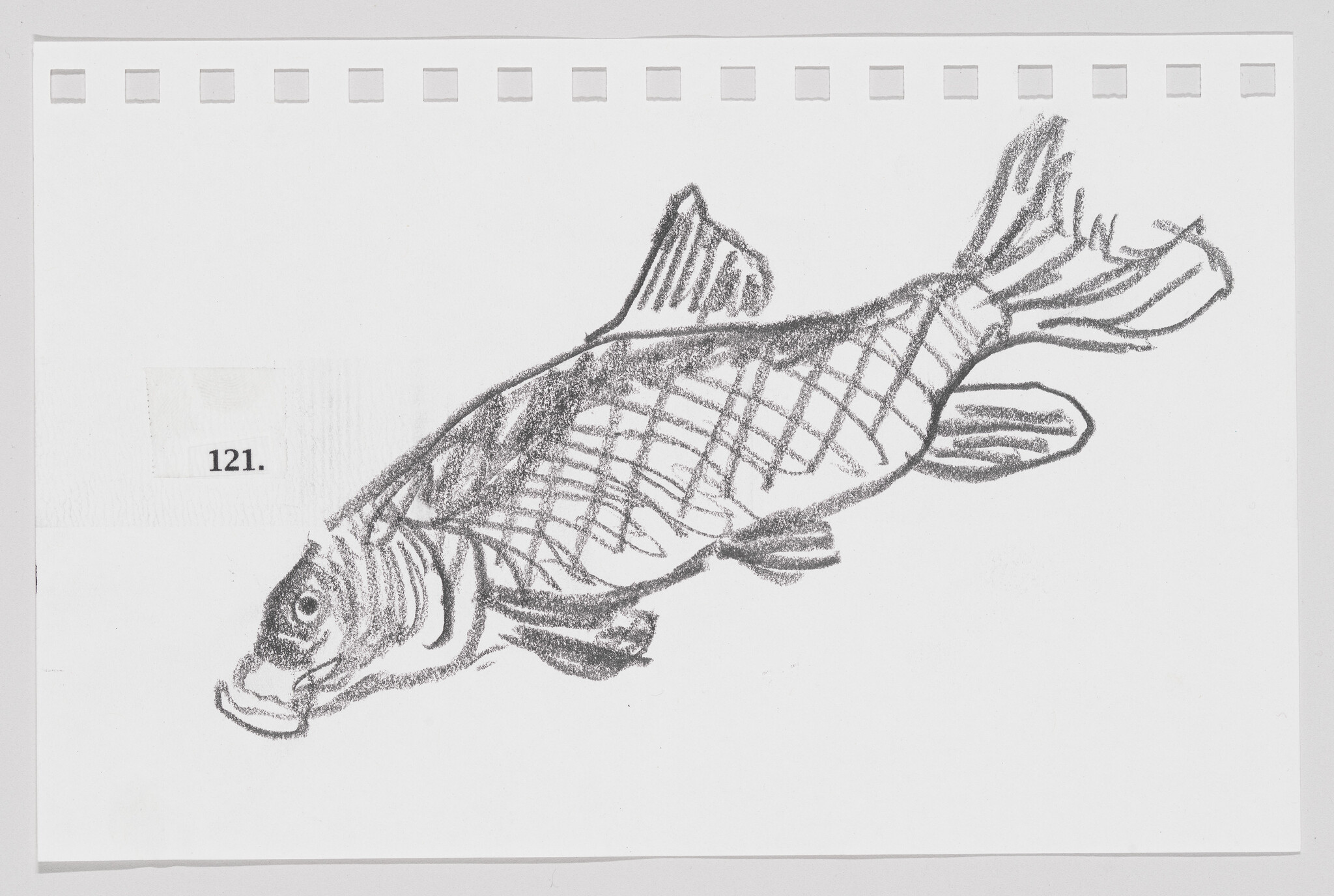 Sketch of a fish with detailed scales and fins on a piece of paper, labeled with the number 121.