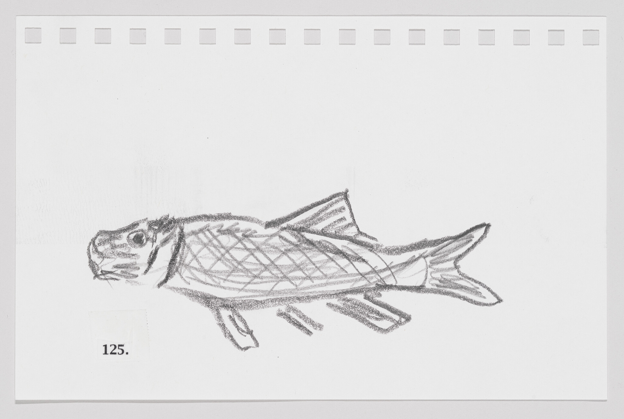 Pencil sketch of a fish on a piece of paper with perforated edges, labeled with the number 125.