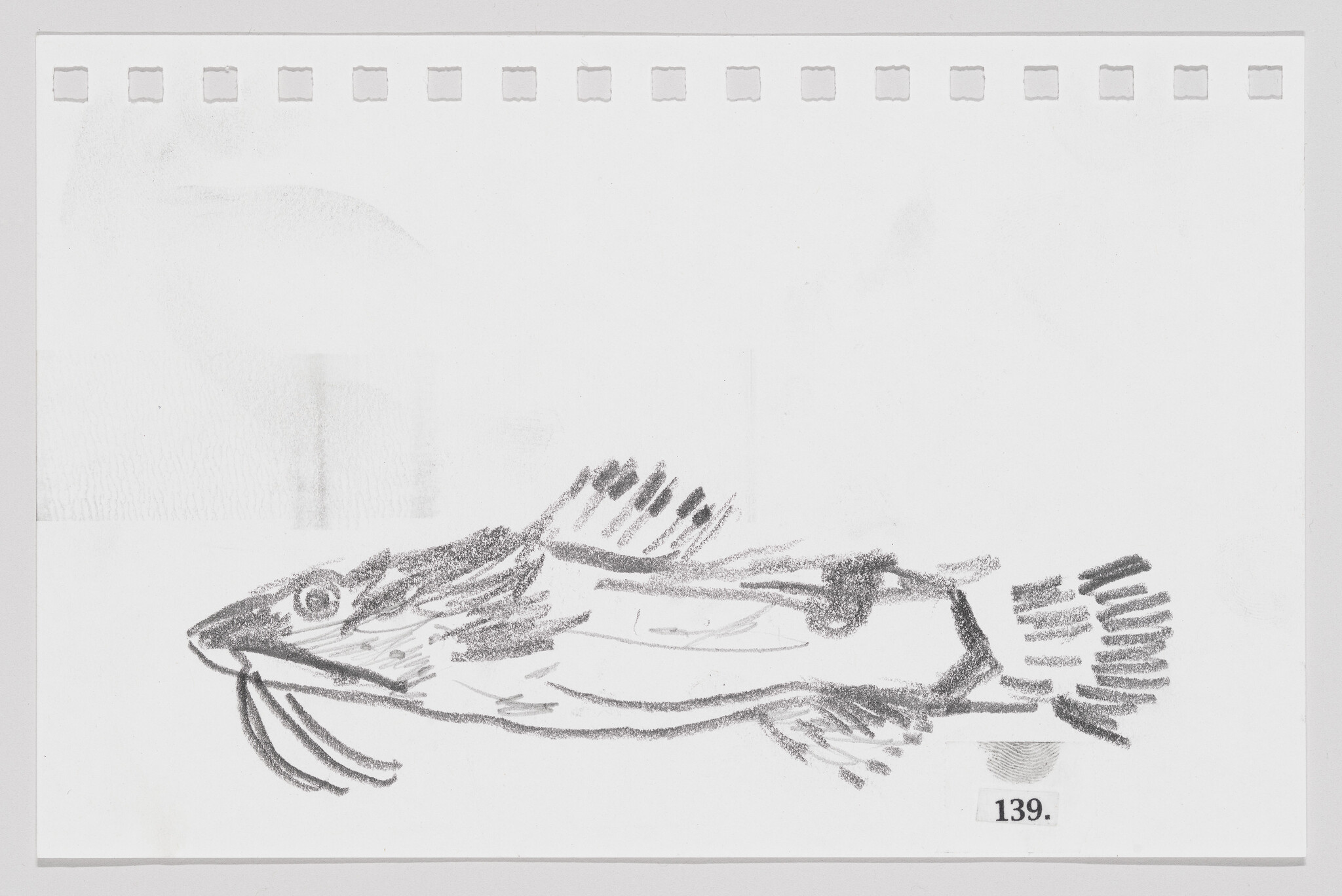 Sketch of a fish on a white background with perforated edges, numbered 139.