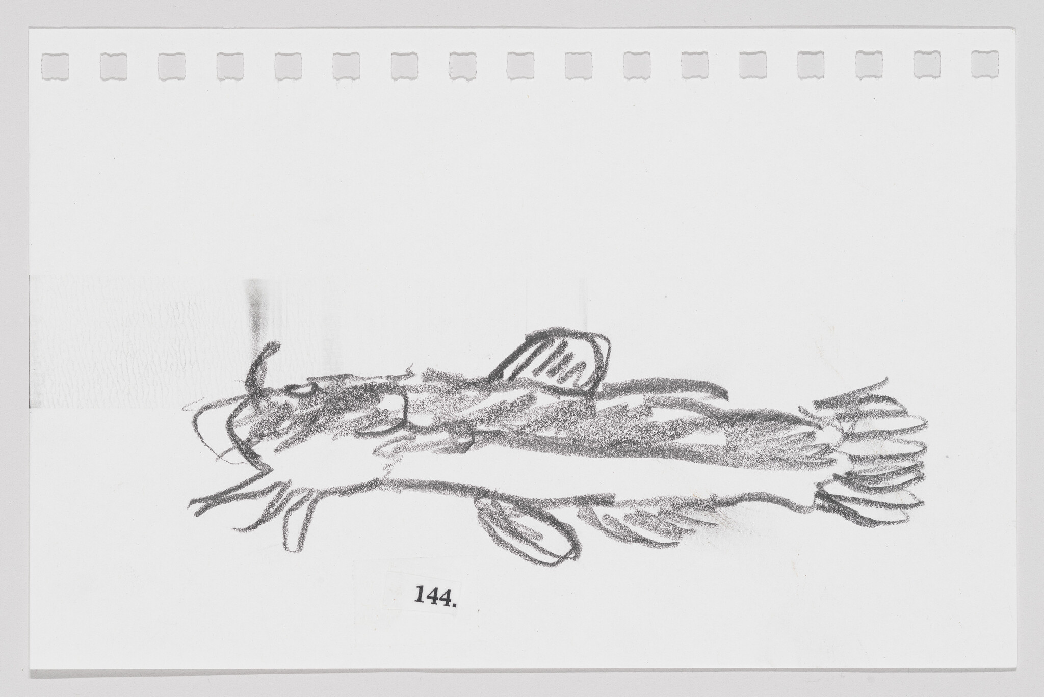 Sketch of a lobster on a white background with perforations along the top edge, numbered 144.