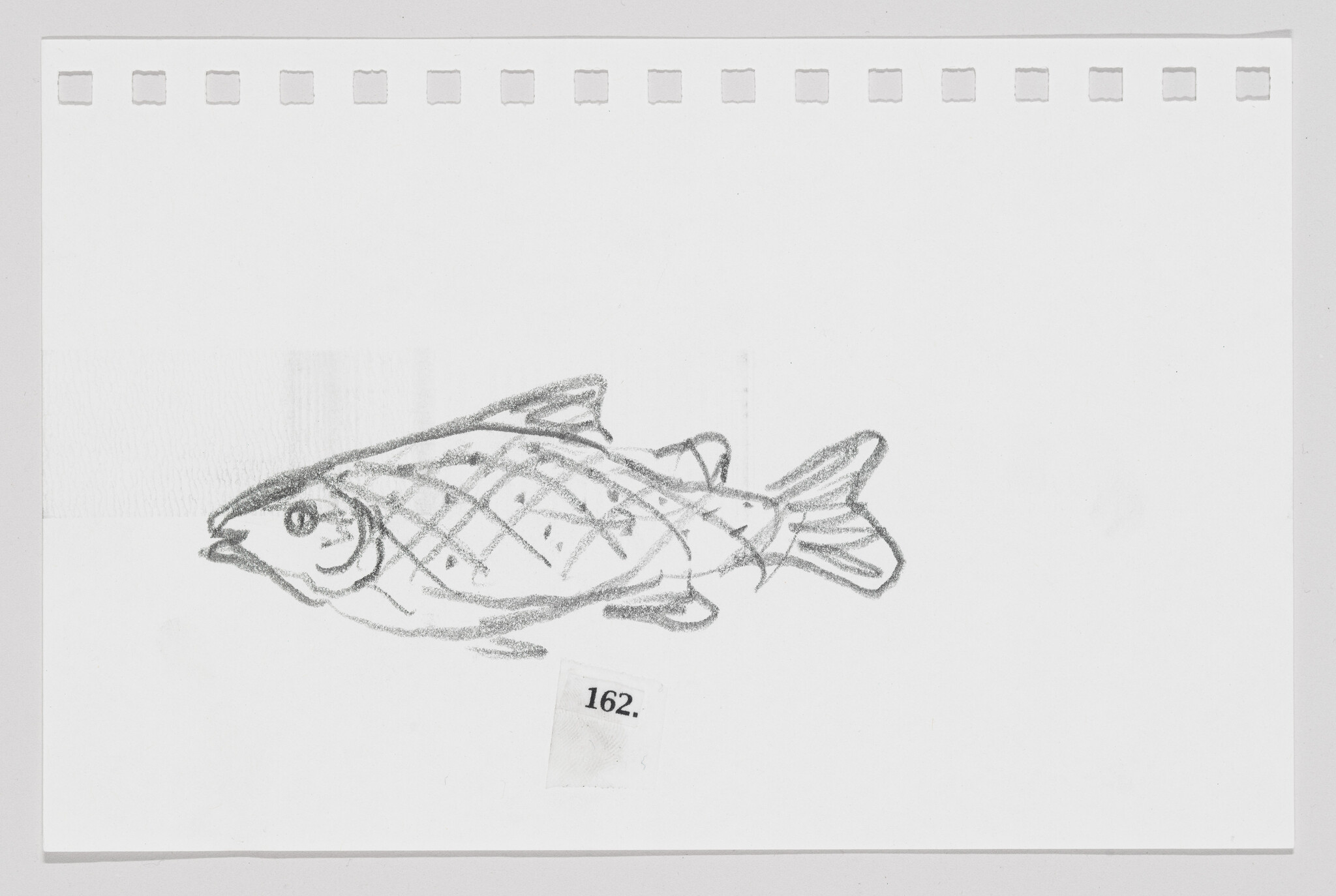 Sketch of a fish on a piece of paper with perforated edges, labeled with the number 162.