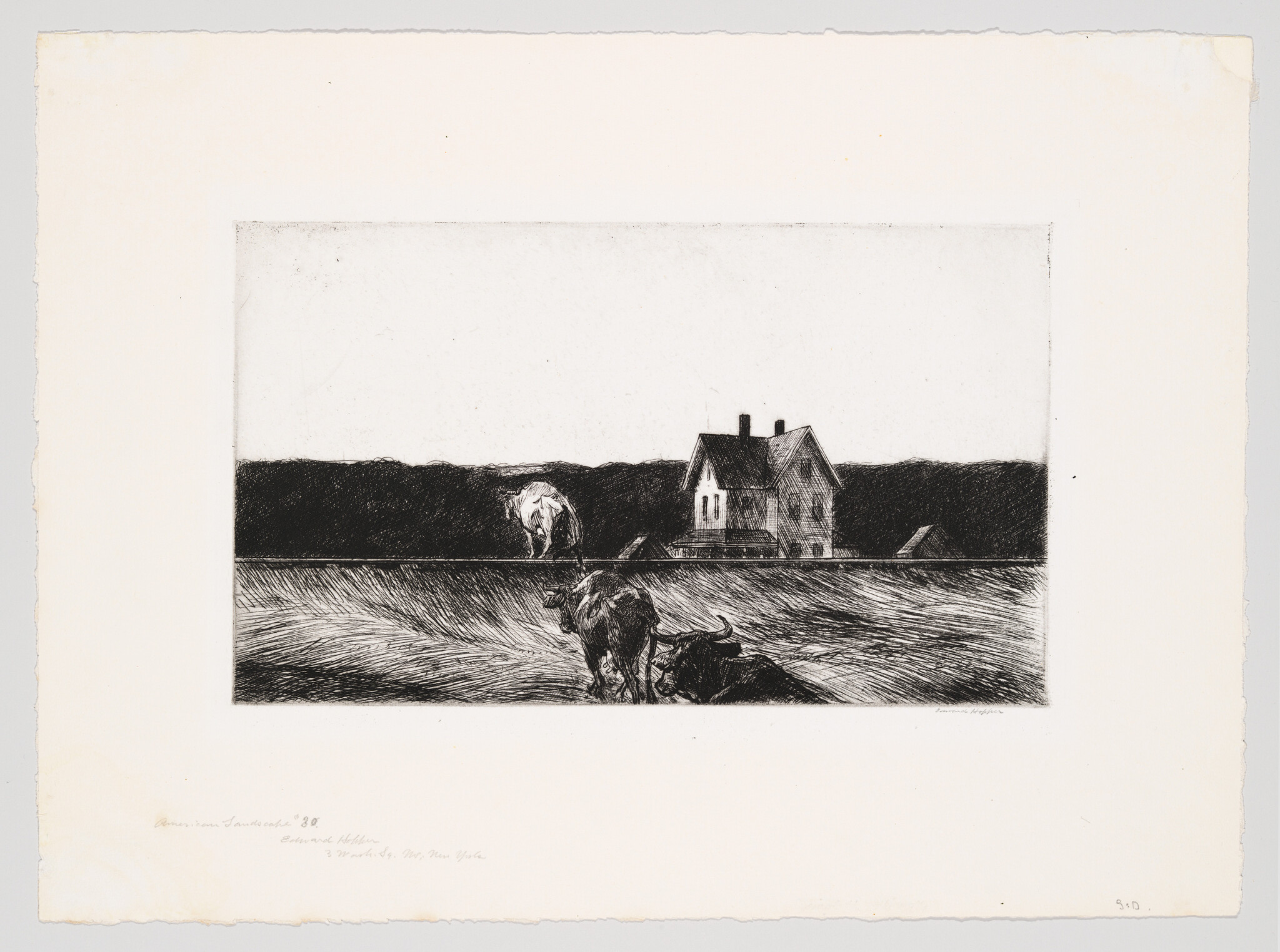 Two cattle walking through tall grass toward a distant farmhouse at the horizon.