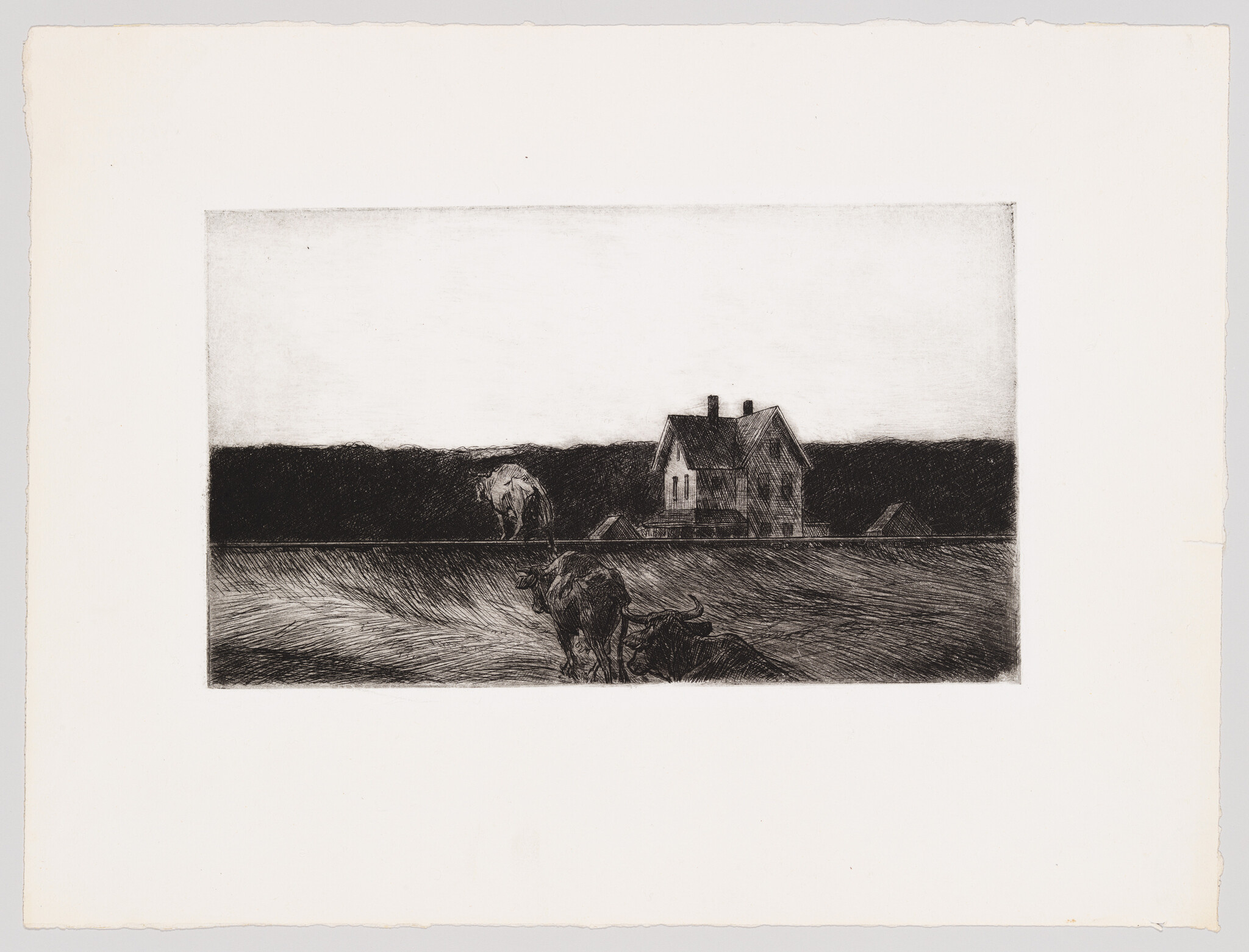 A farmhouse on the horizon with cows grazing and walking in a grassy field.
