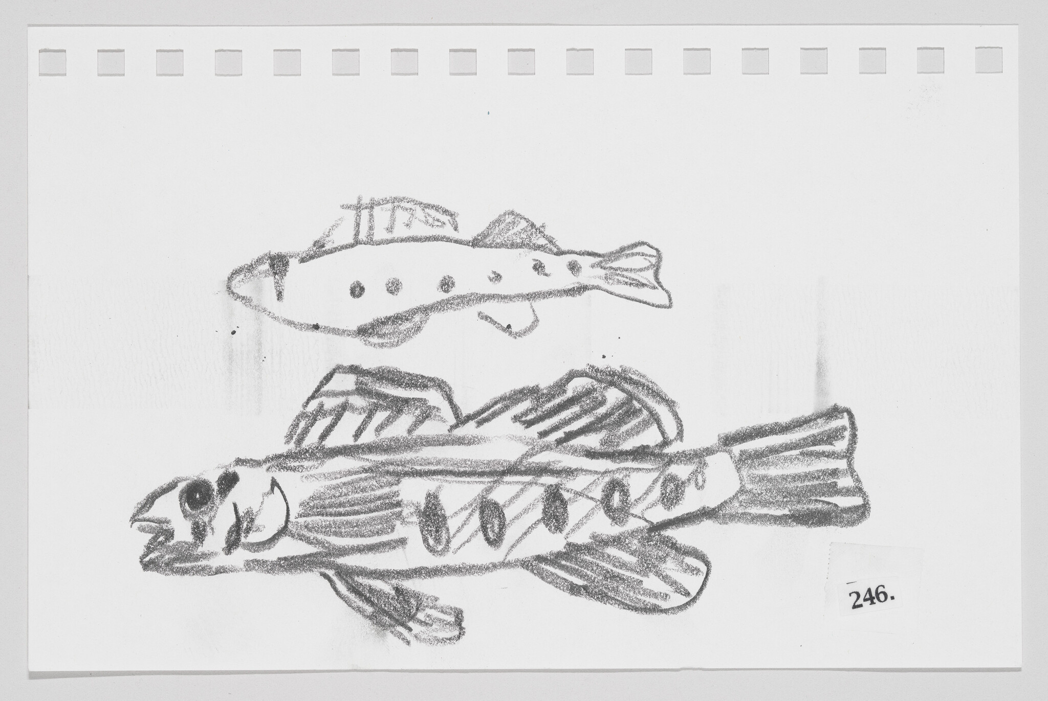 Child's pencil drawing of two fish on paper, one above the other, with a number "246" label on the bottom right.