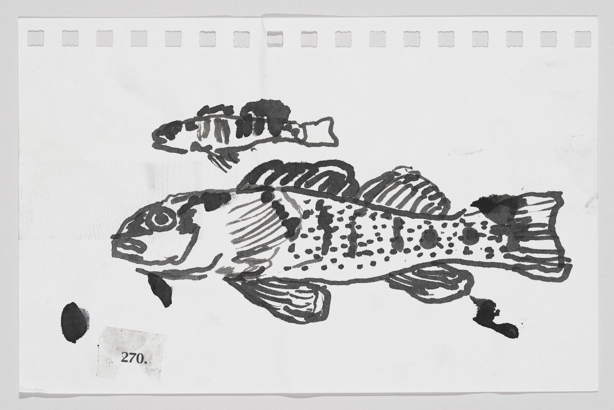 Ink sketch of two fish on perforated paper, with a small label numbered 270.