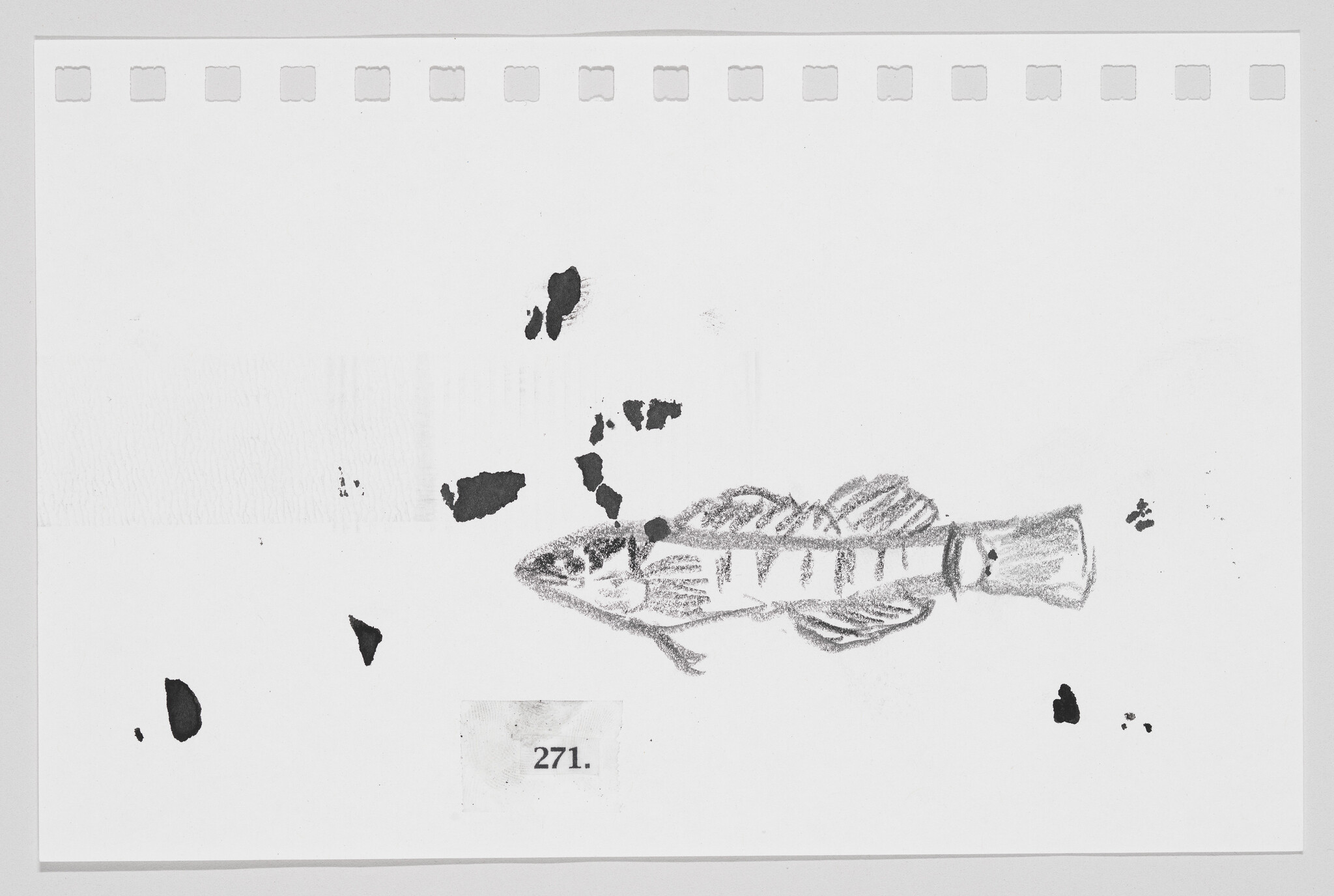 Sketch of a fish with abstract black blotches on a white background, resembling a filmstrip with number 271.