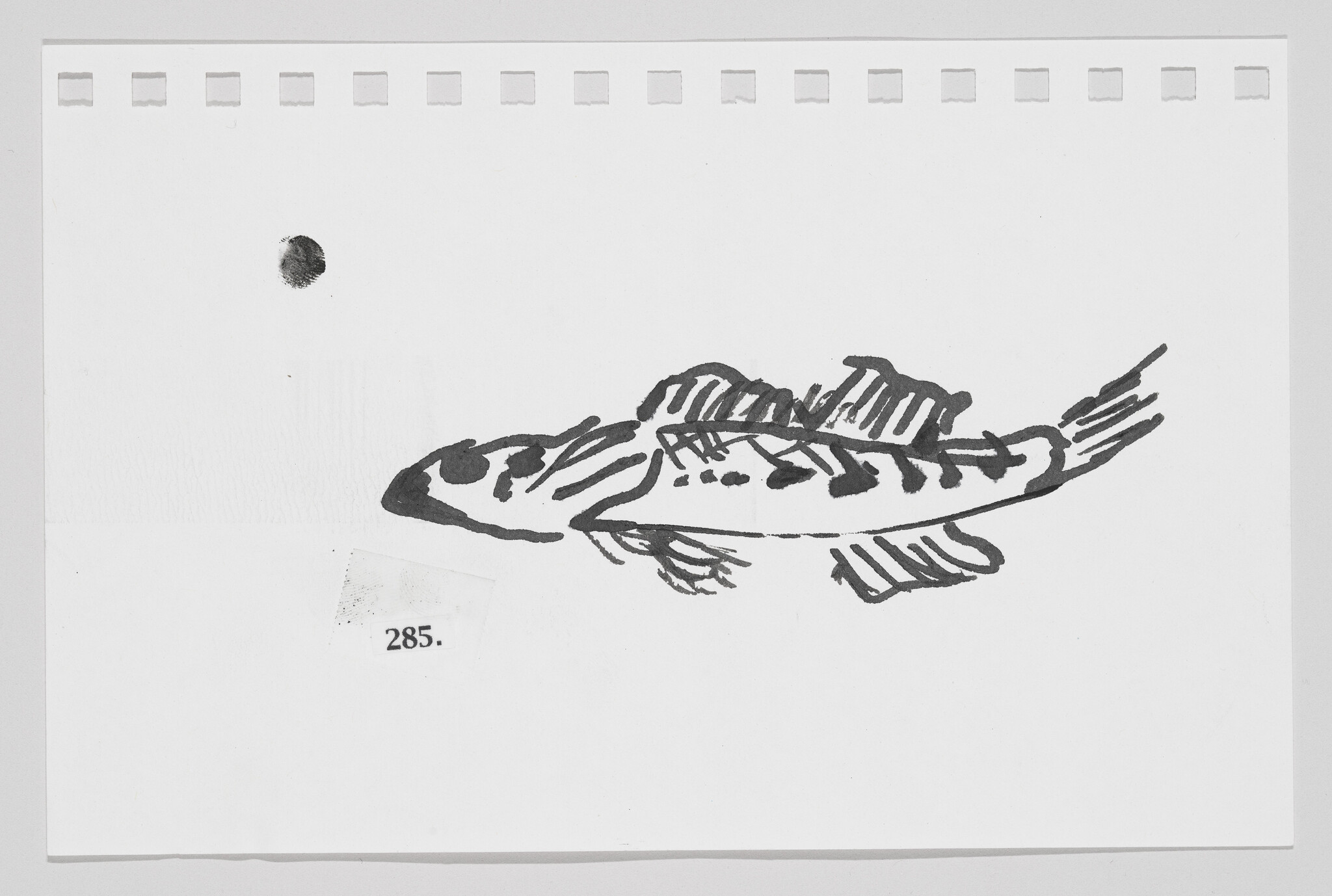 Hand-drawn sketch of a fish on a piece of paper with perforated edges and a small ink blot near the top left corner.
