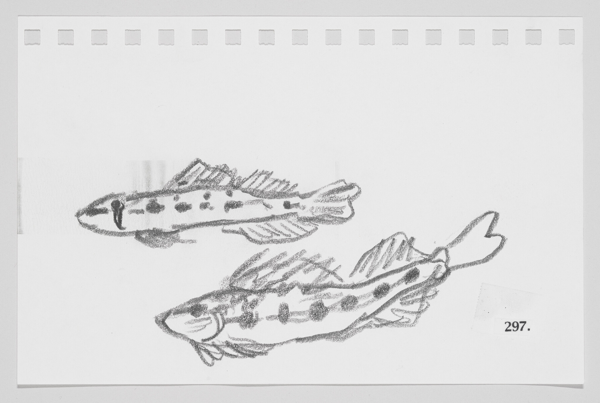 Sketch of two fish on a perforated paper, numbered 297.
