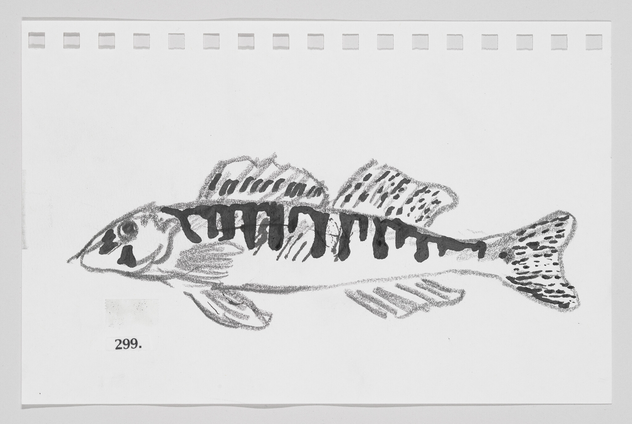 Hand-drawn sketch of a fish on a piece of paper with perforated edges, labeled with the number 299.