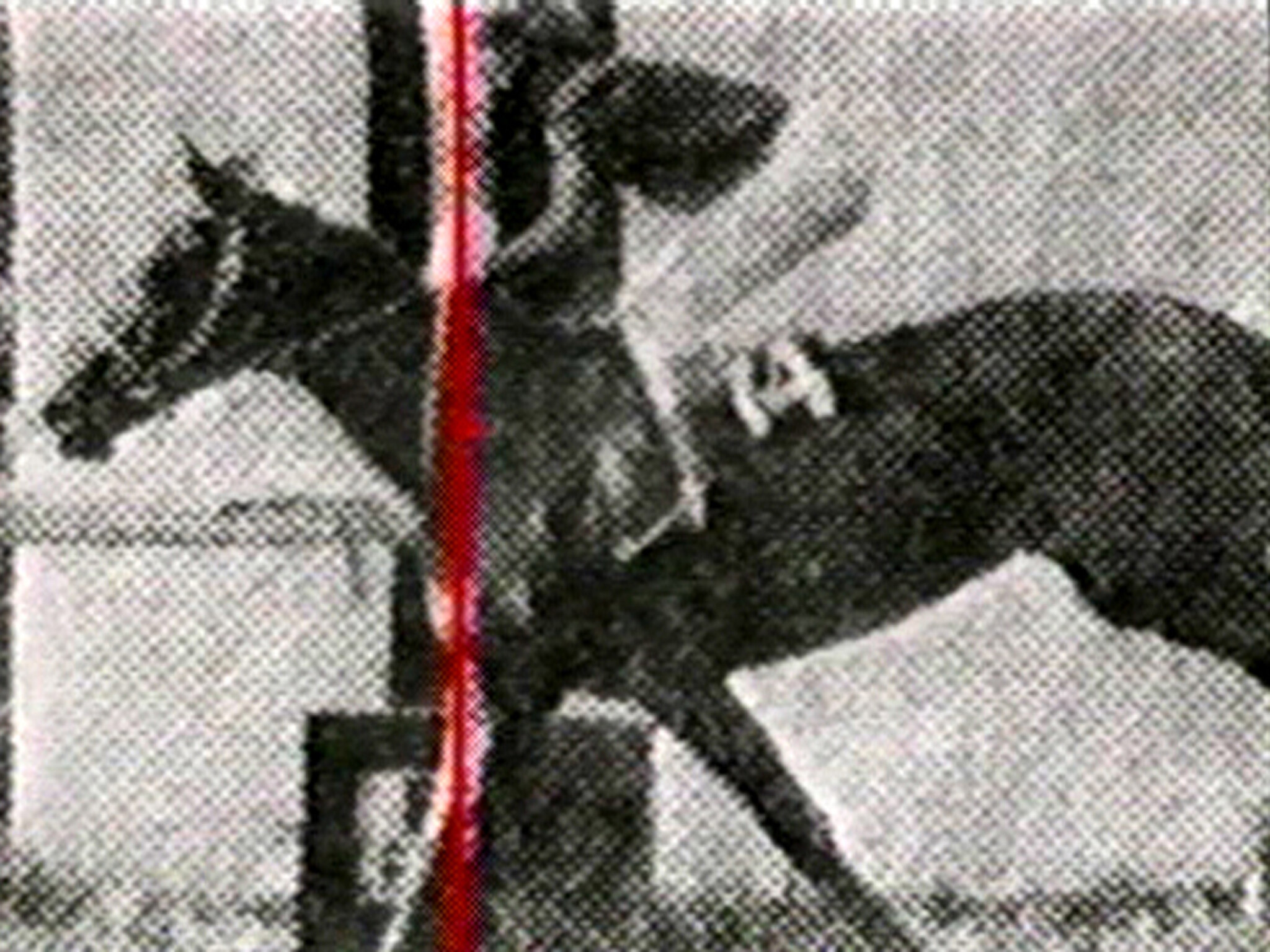 A horse with the number 14 on its side crosses a finish line marked by a vertical red stripe.