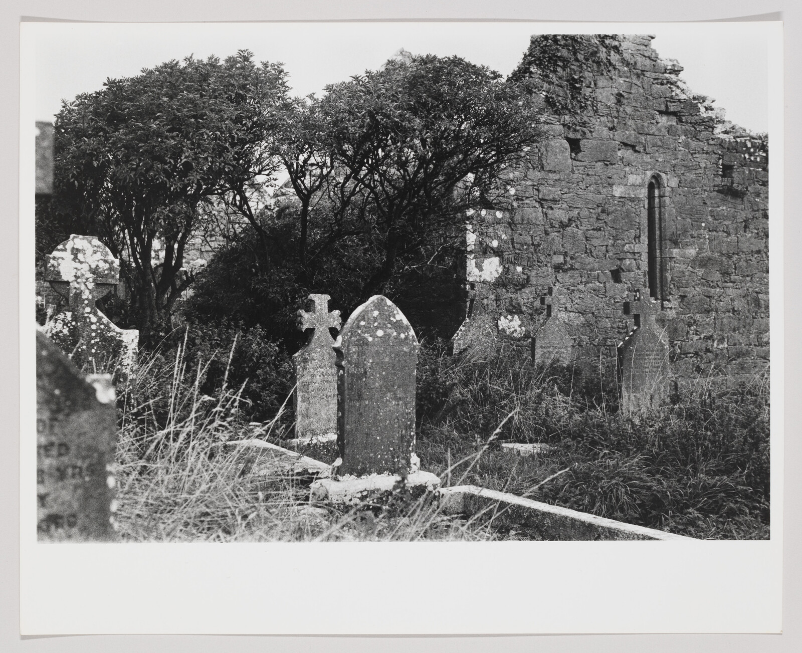 Weathered gravestones stand among tall grass beside the crumbling stone church wall and trees.