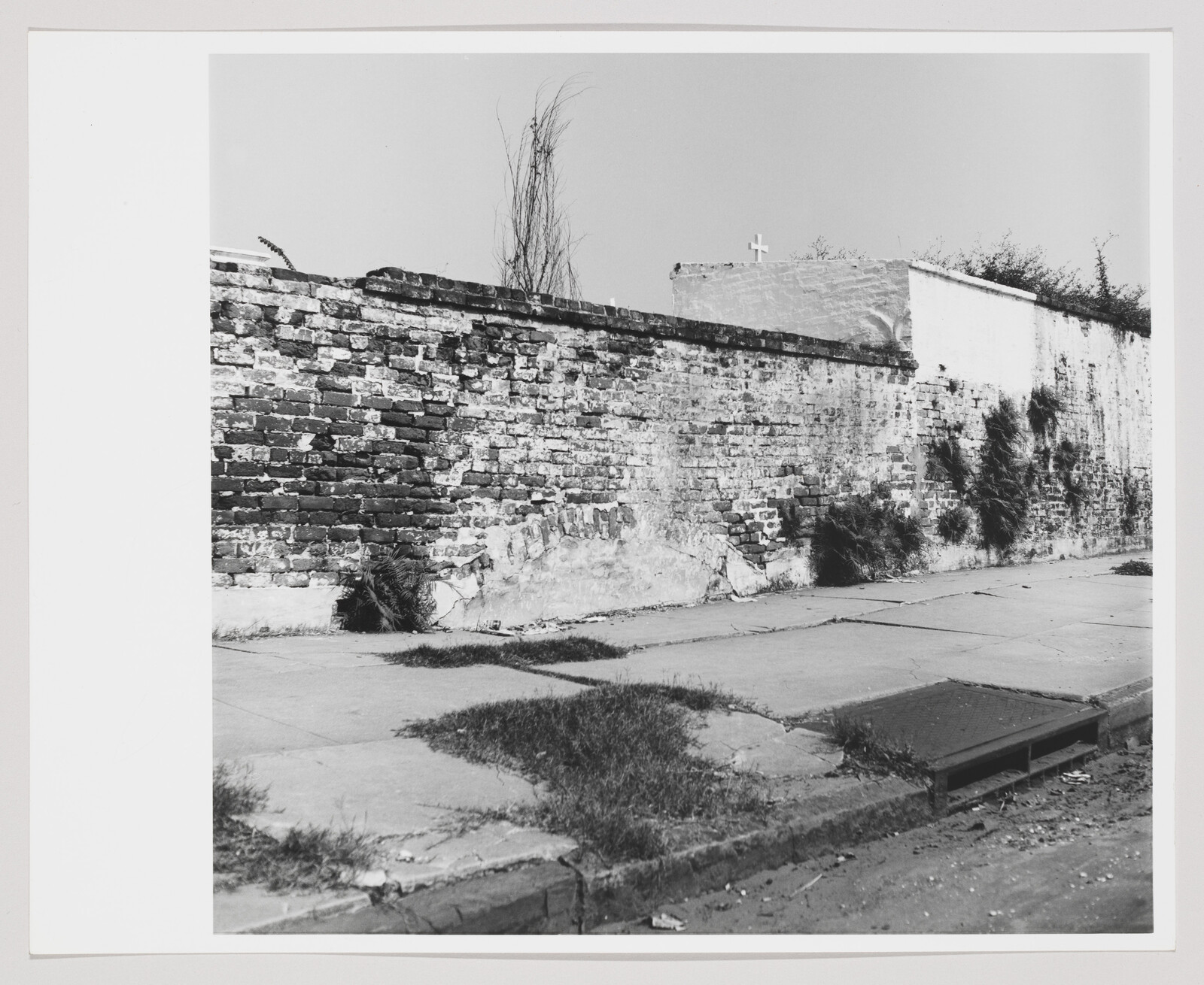 A weathered brick wall runs along a cracked sidewalk with tufts of grass and a drain.