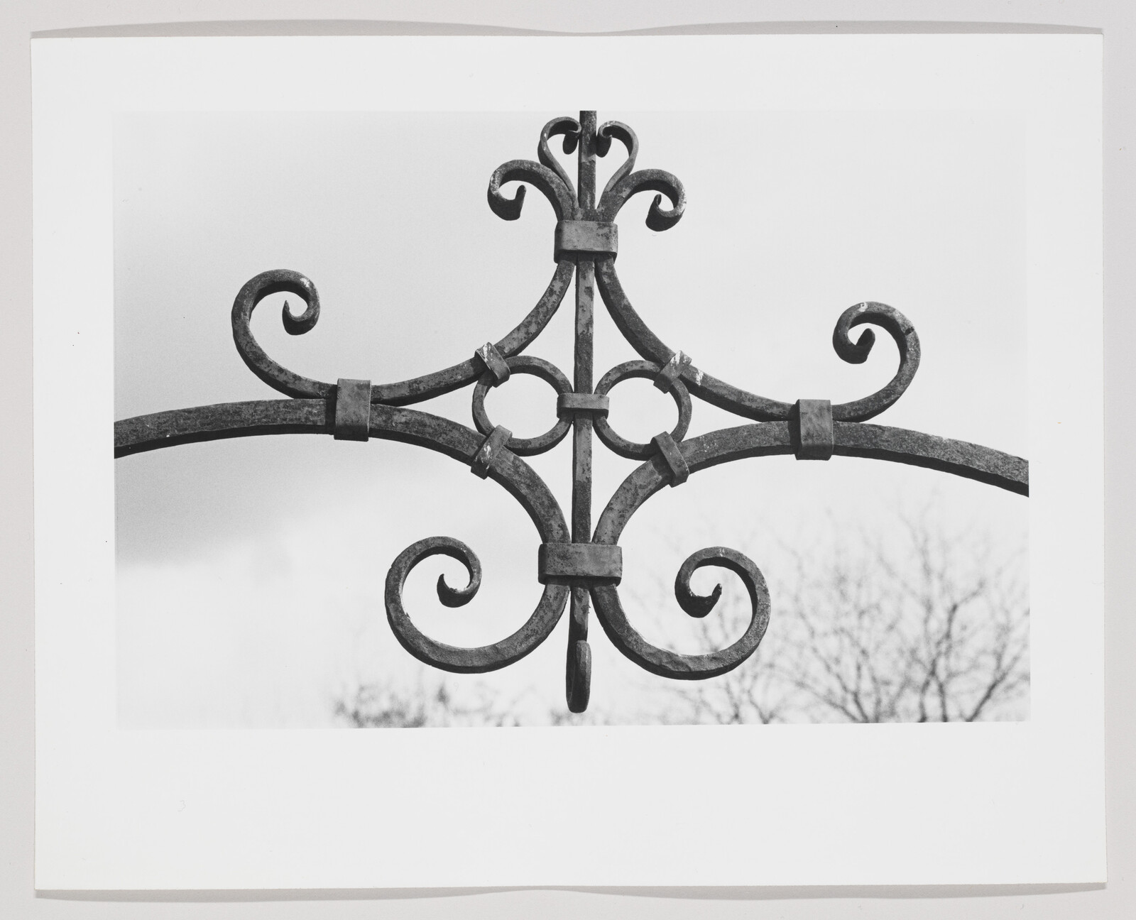 Ornate rusted wrought-iron fence top with symmetrical scrolls and circular central motif against sky.
