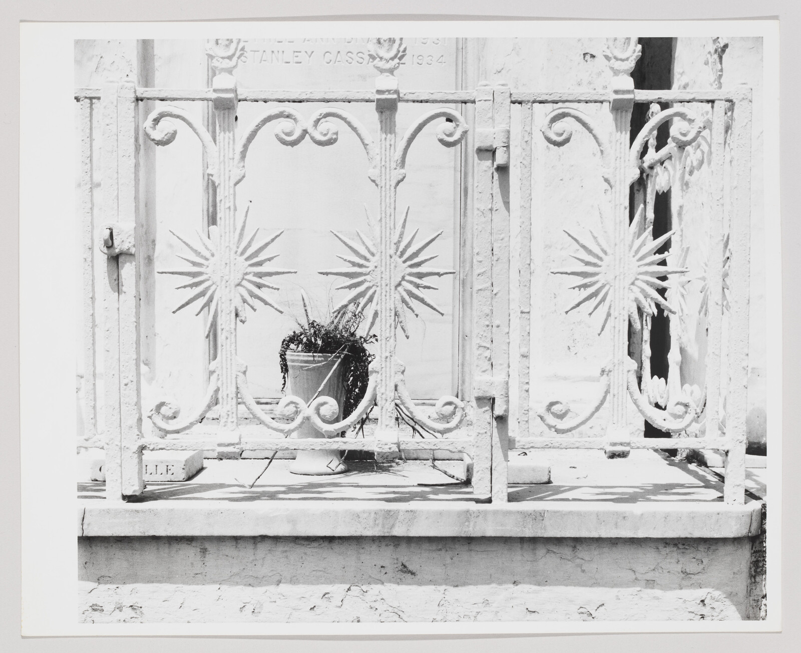 A high-contrast black and white photograph of an ornate metal window grille with starburst patterns, behind which sits a potted plant on a windowsill. The grille is attached to a weathered wall, and there is text partially visible at the top of the frame.