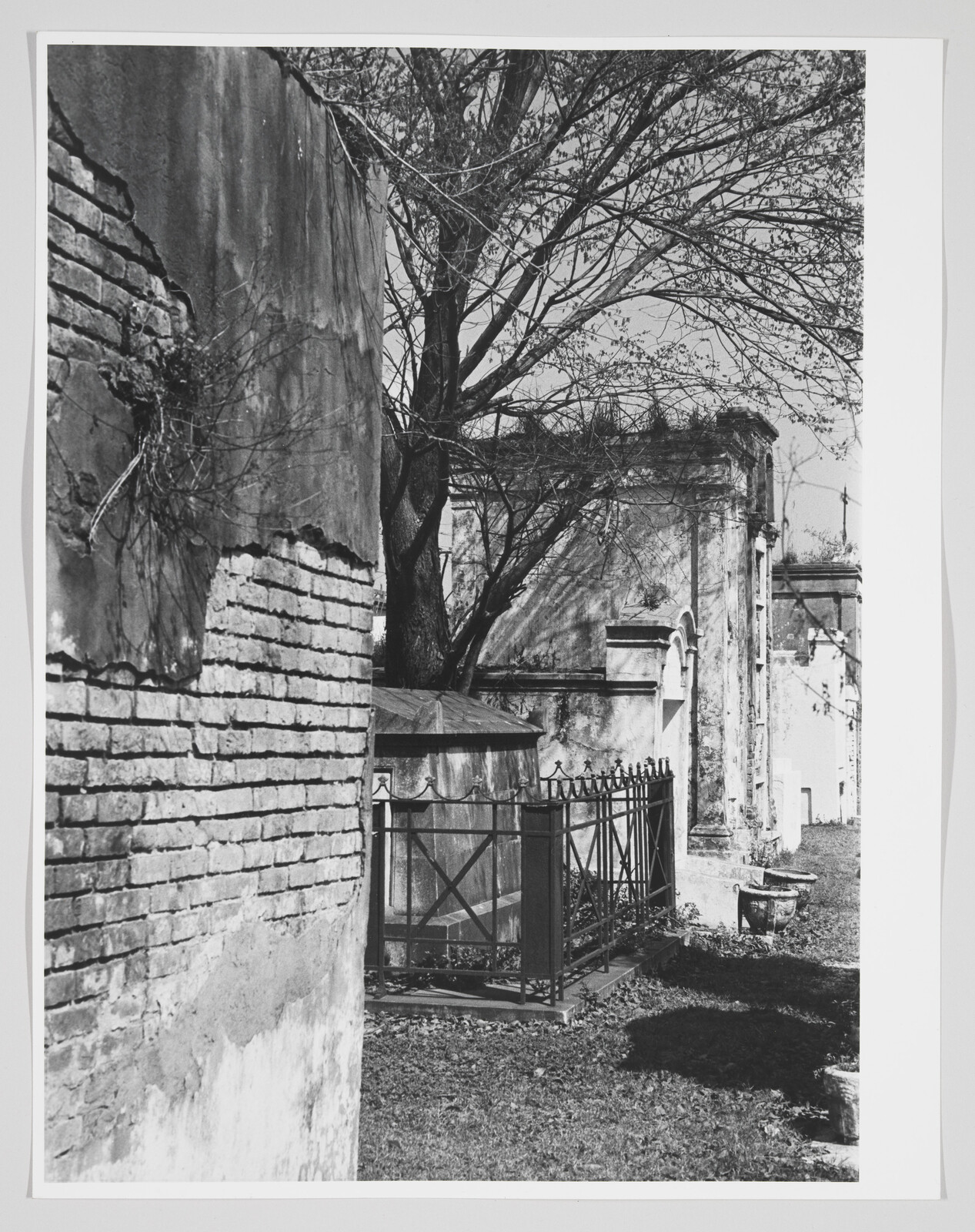 Crumbling brick wall and iron-fenced mausoleums beside a leafless tree in a graveyard.